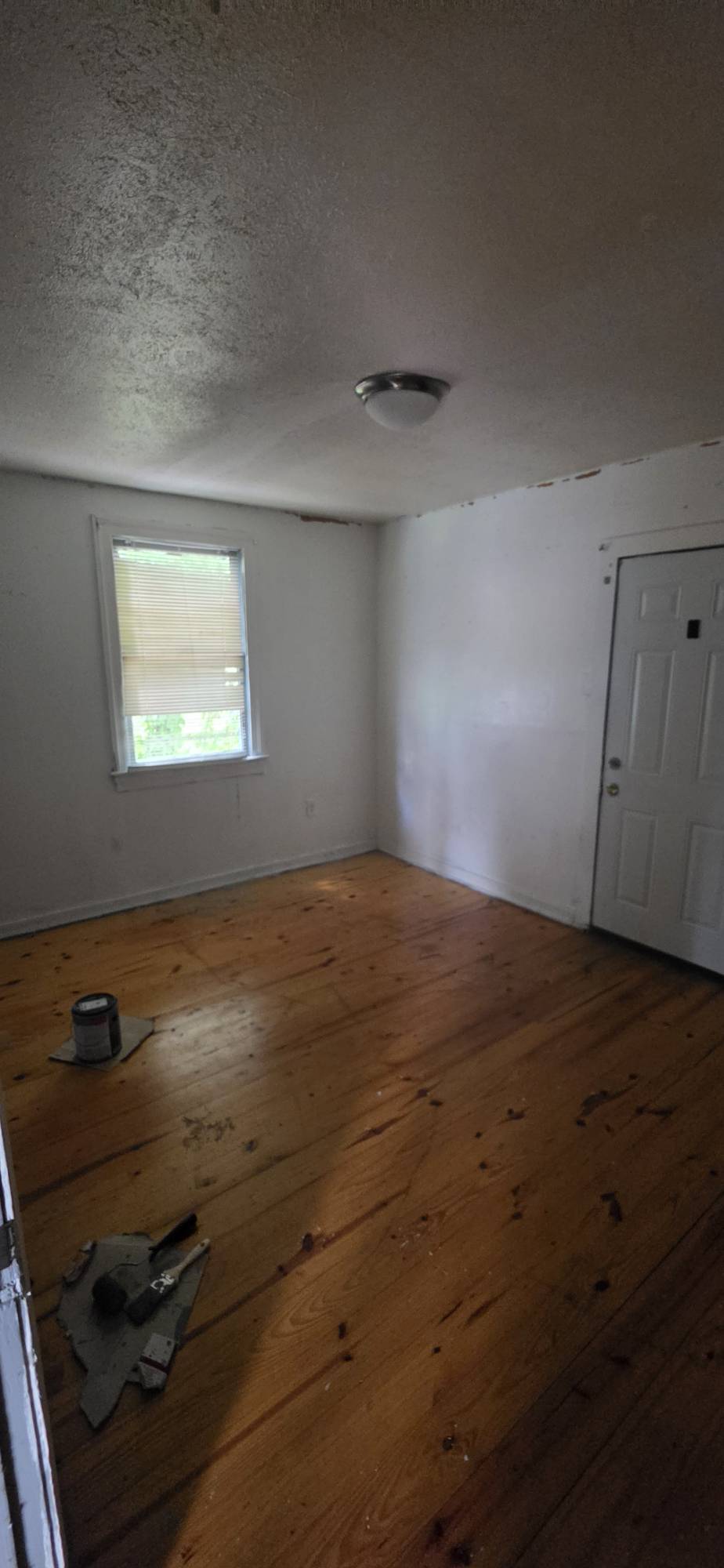 3483 Hollywood Street – photo 2