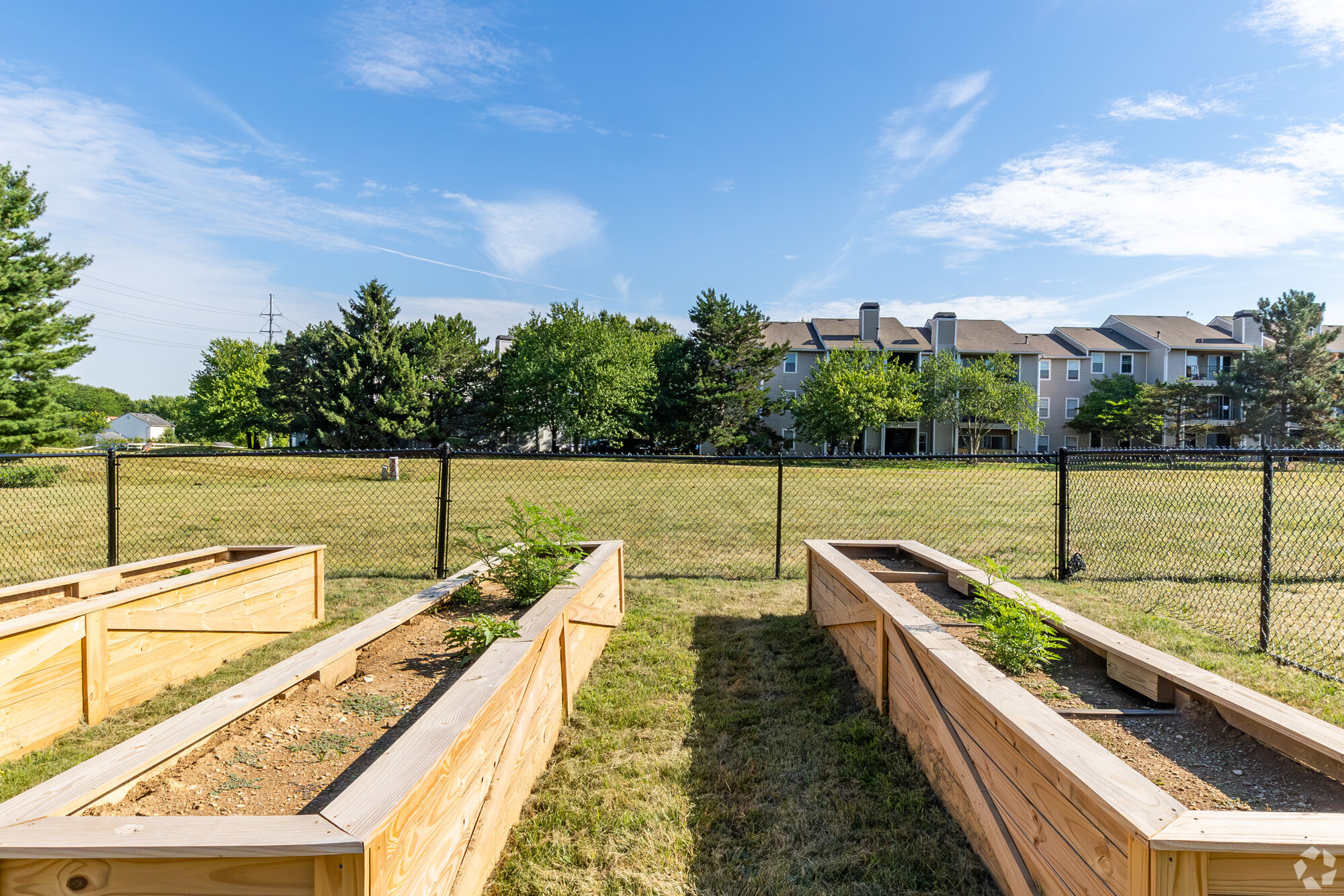 Sawmill Ridge – photo 4