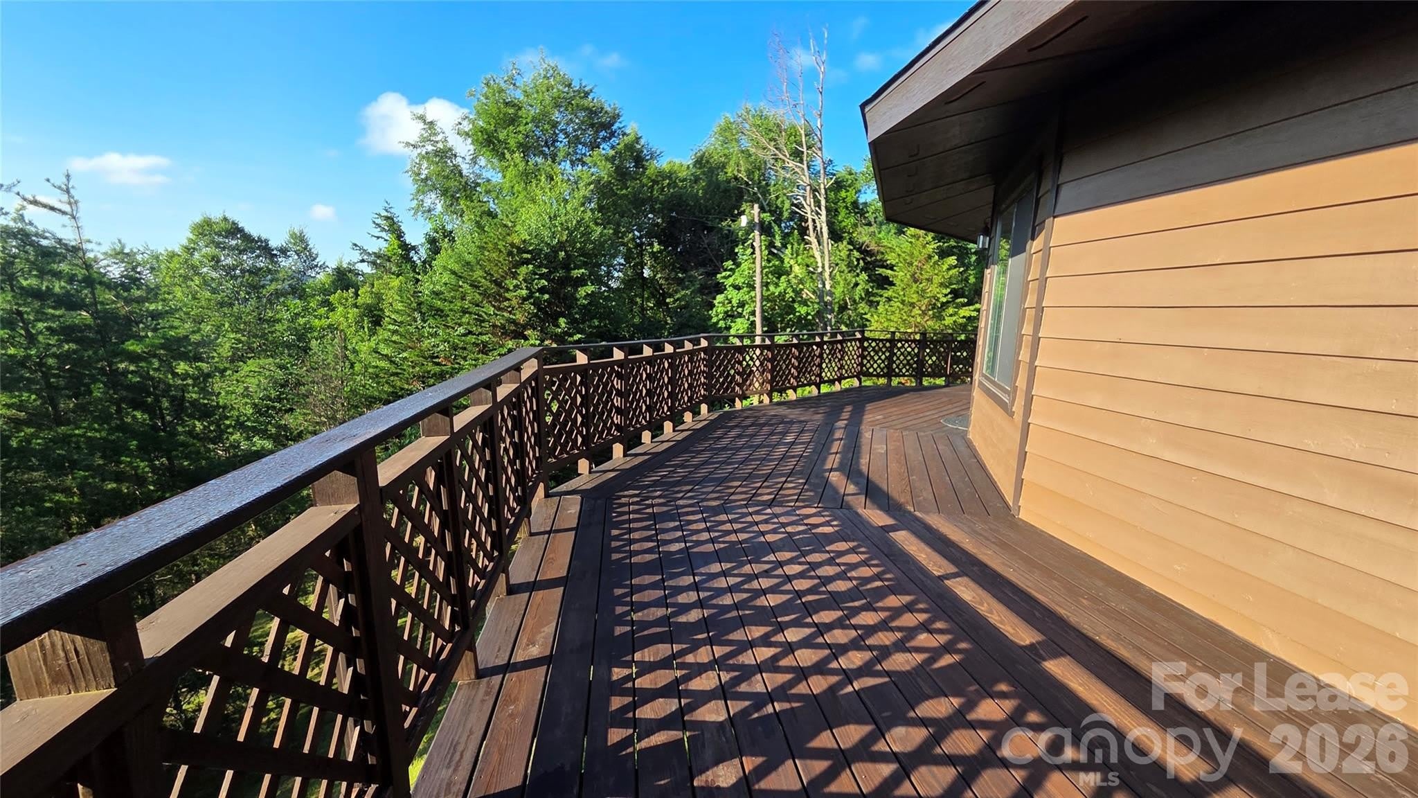 281 Bearwallow Trail – photo 3