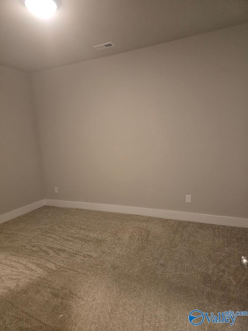 111 Farmall Lane – photo 4