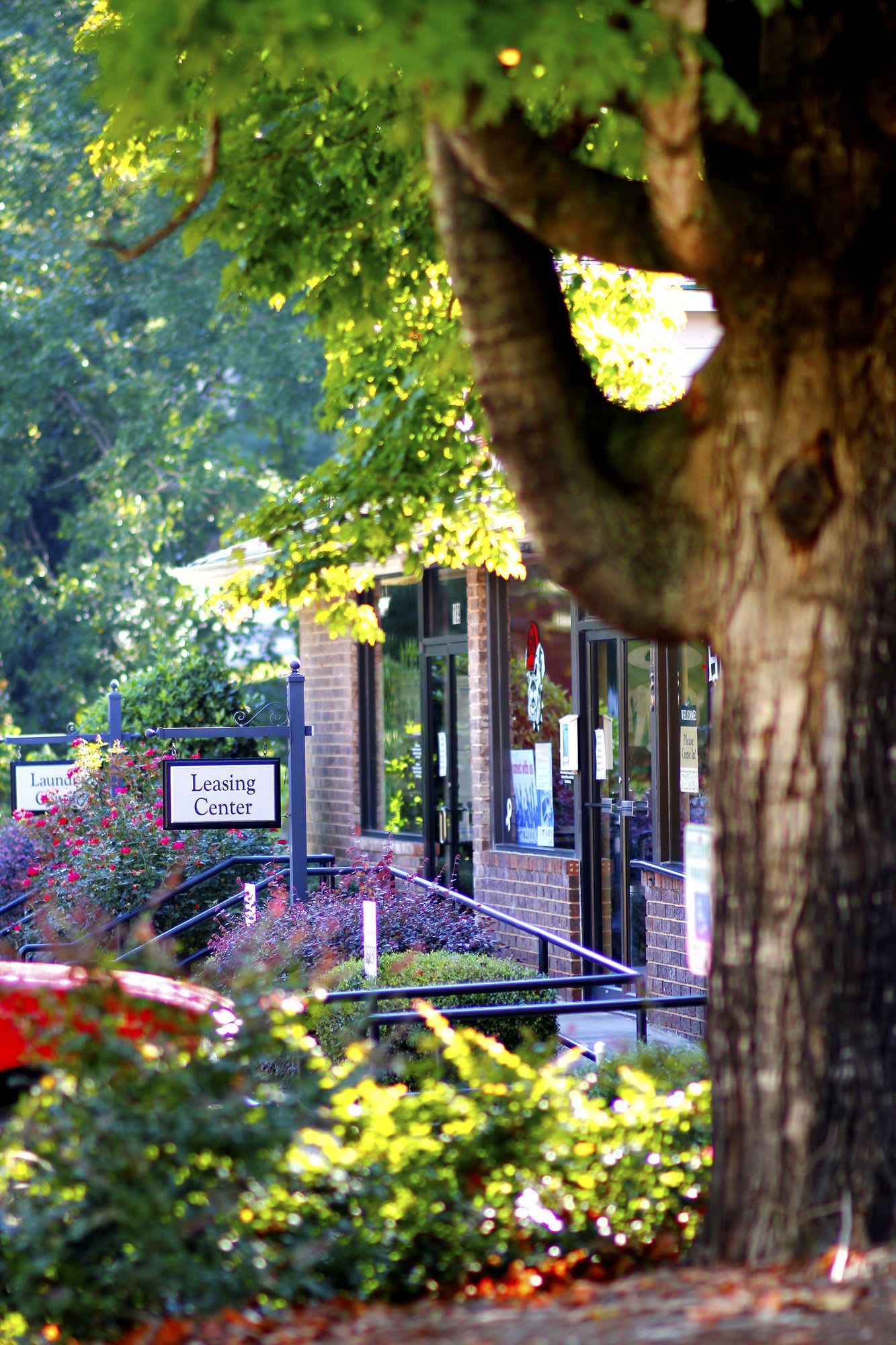 University Garden Apartment Homes – photo 4