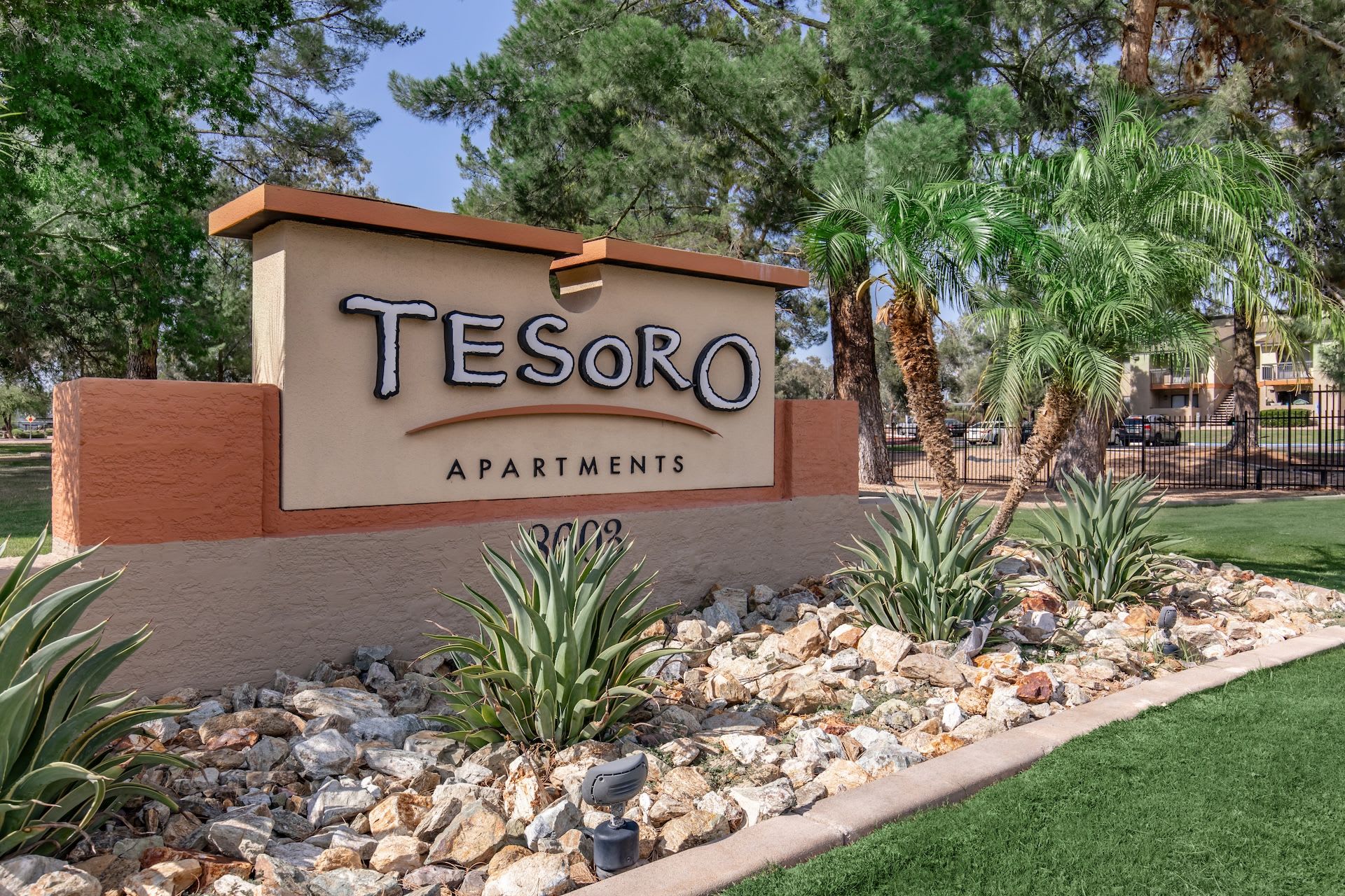 Tesoro – photo 3