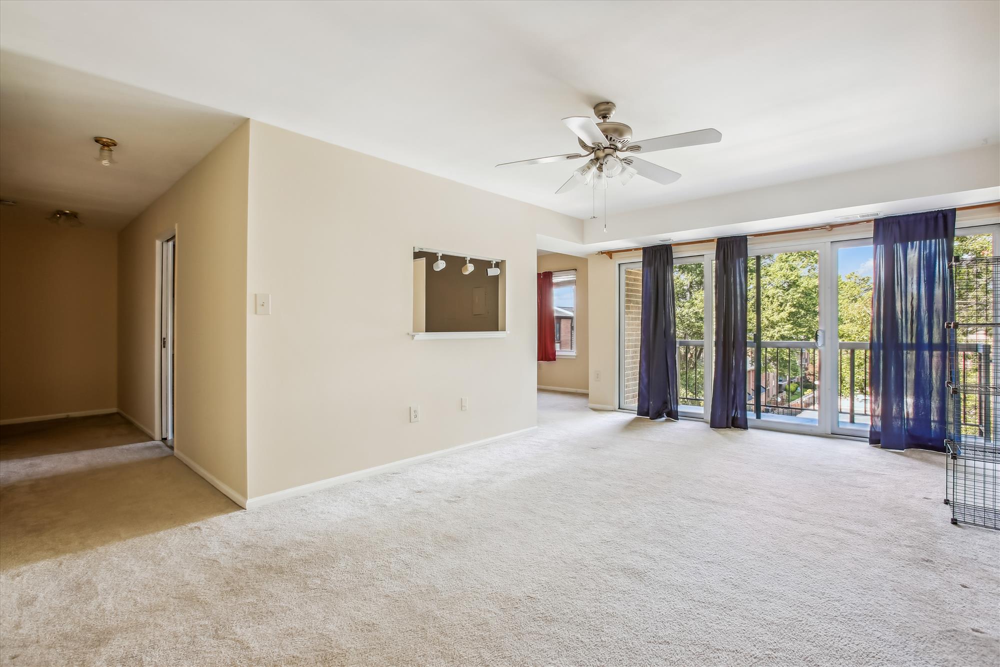 9712 Kingsbridge Dr Apt 303 – photo 4