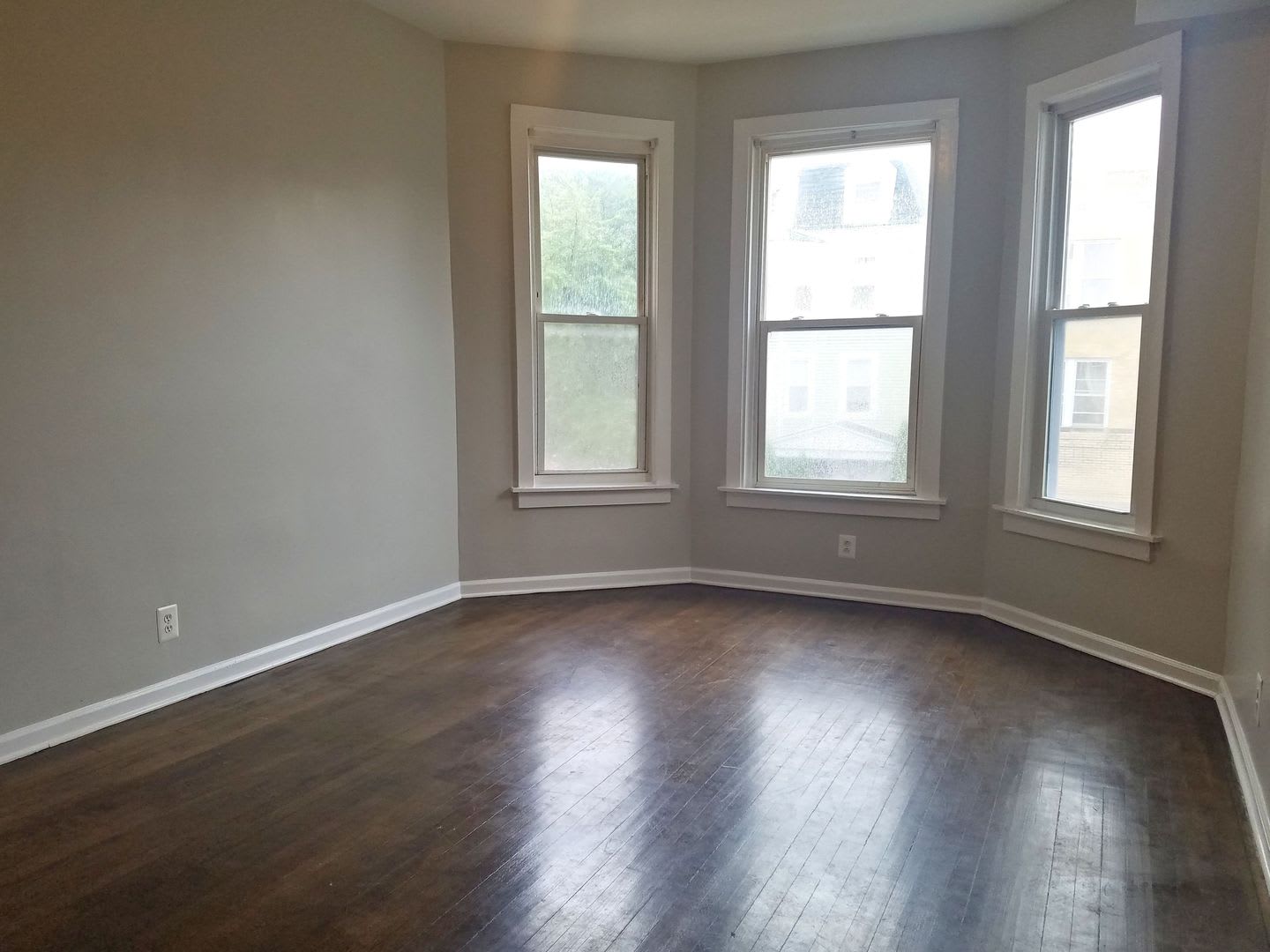 2308 Mango ALBANY – photo 4
