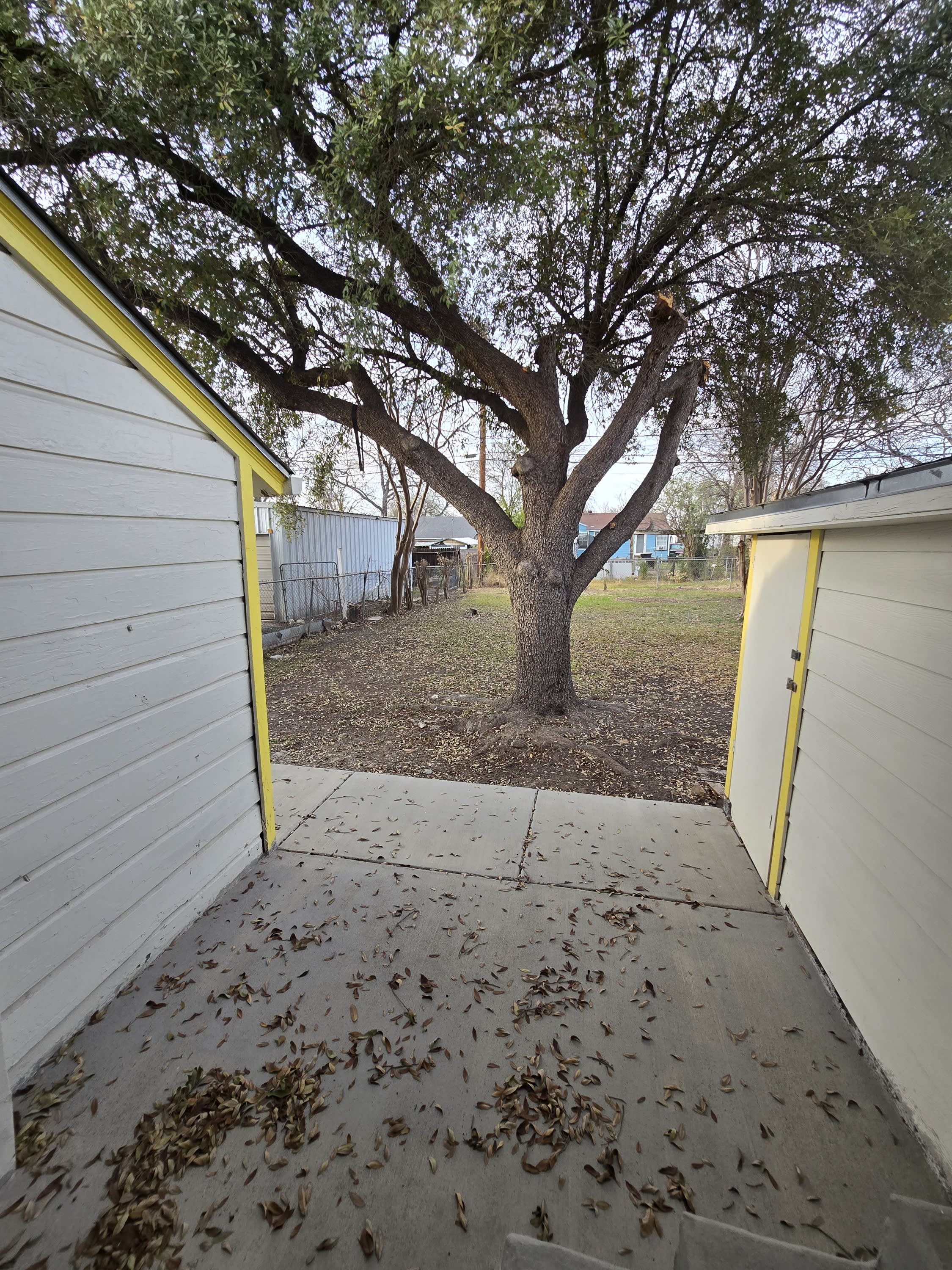 809 Elmwood Drive – photo 3
