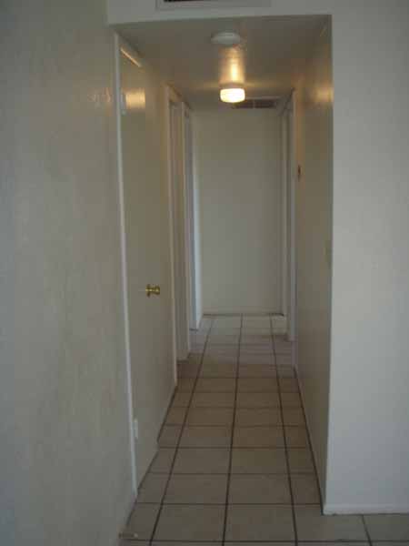 4207 N. 74th Drive – photo 3