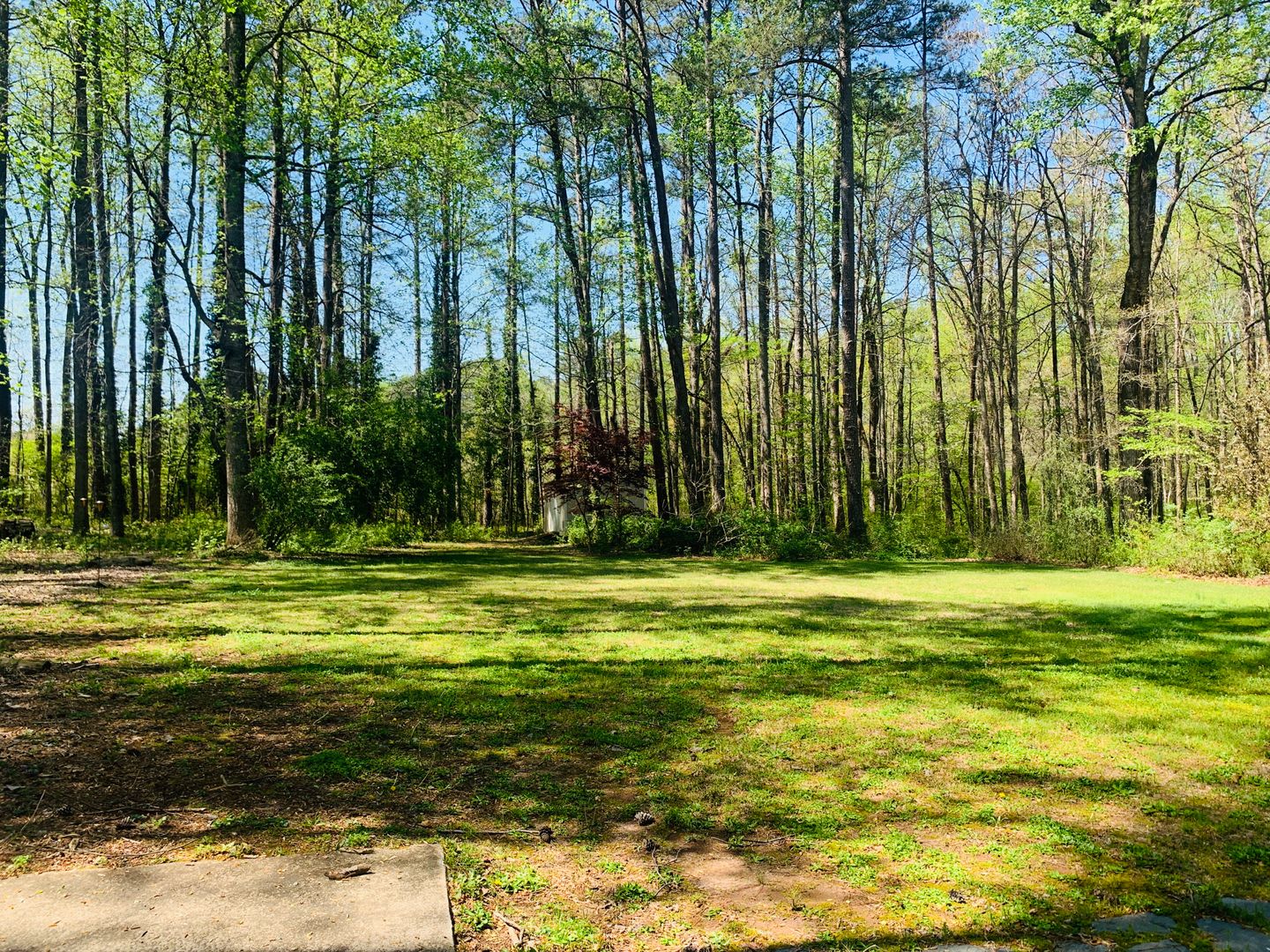 WOW! Charming 3 bedroom 2.5 bath home in the Northgate School District! Must See! – photo 5