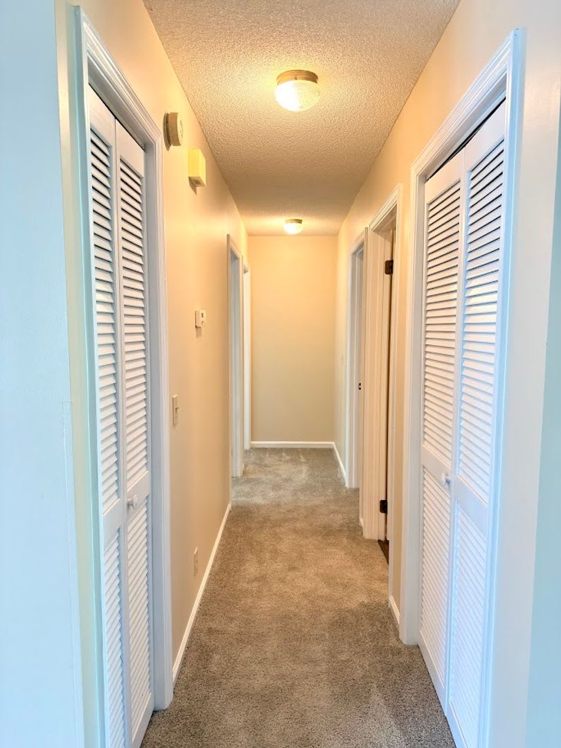 202 Cypress Drive – photo 5