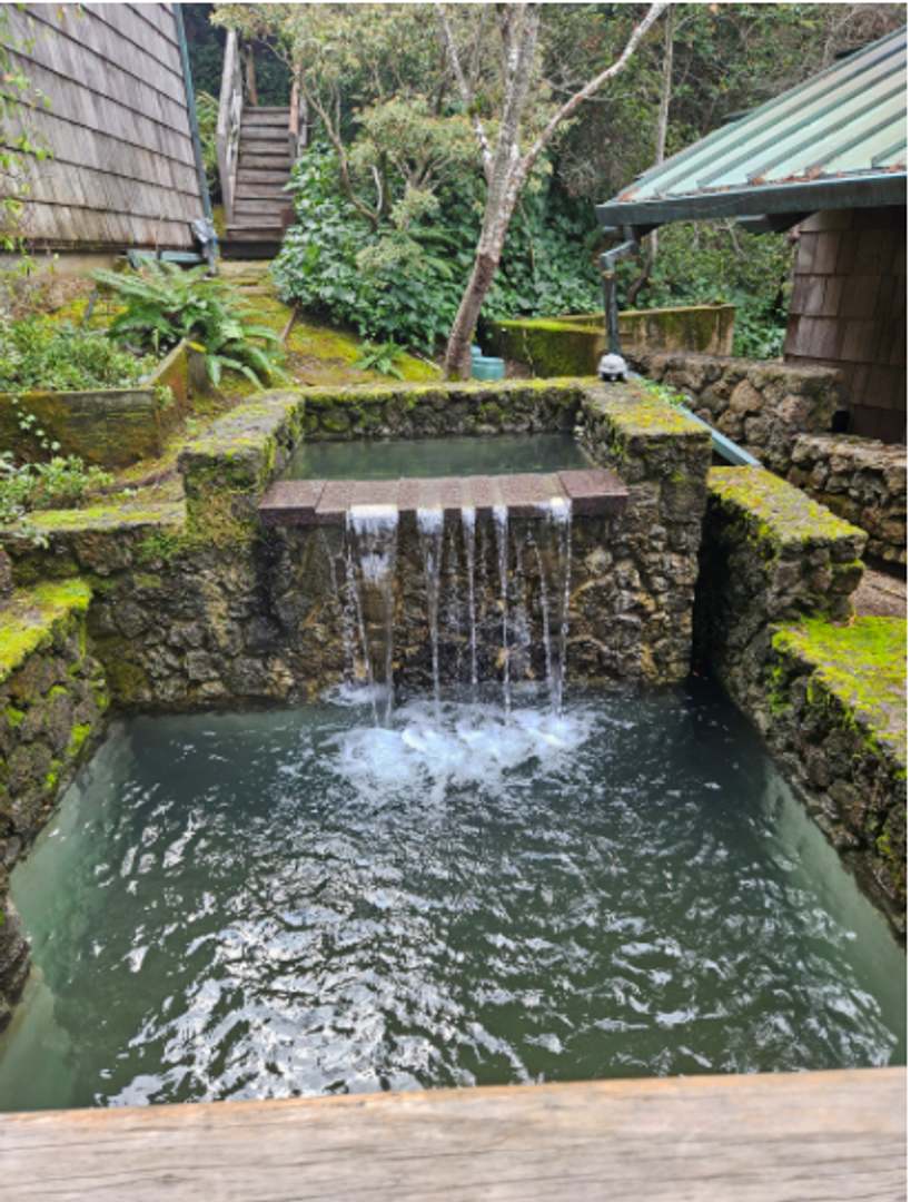 Stunning Architectural Masterpiece 5Br Yoga Studio 4 5Ba Ross Views Pool Pet Waterfalls Progressive – photo 2