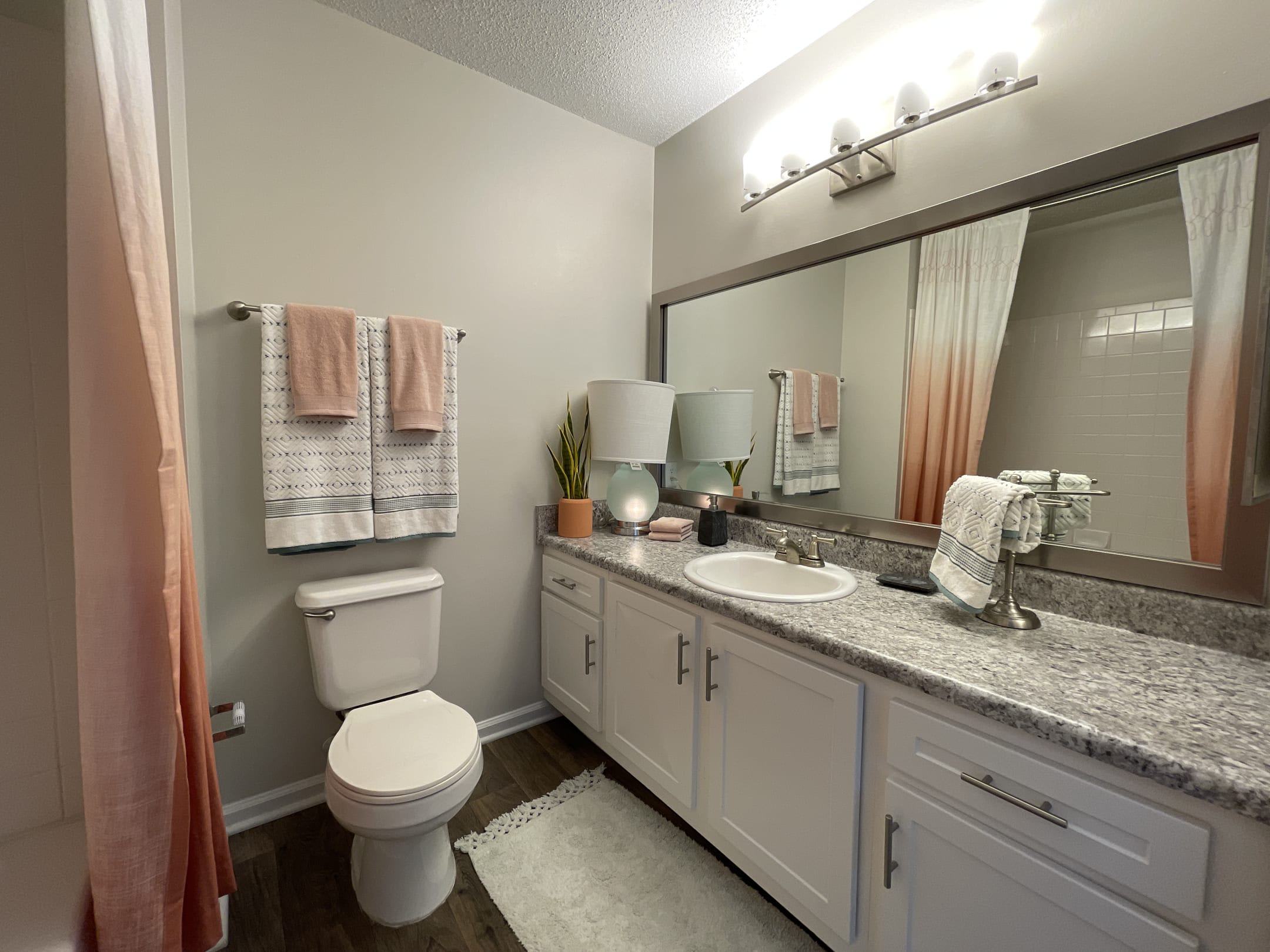 Palmetto Place – photo 5