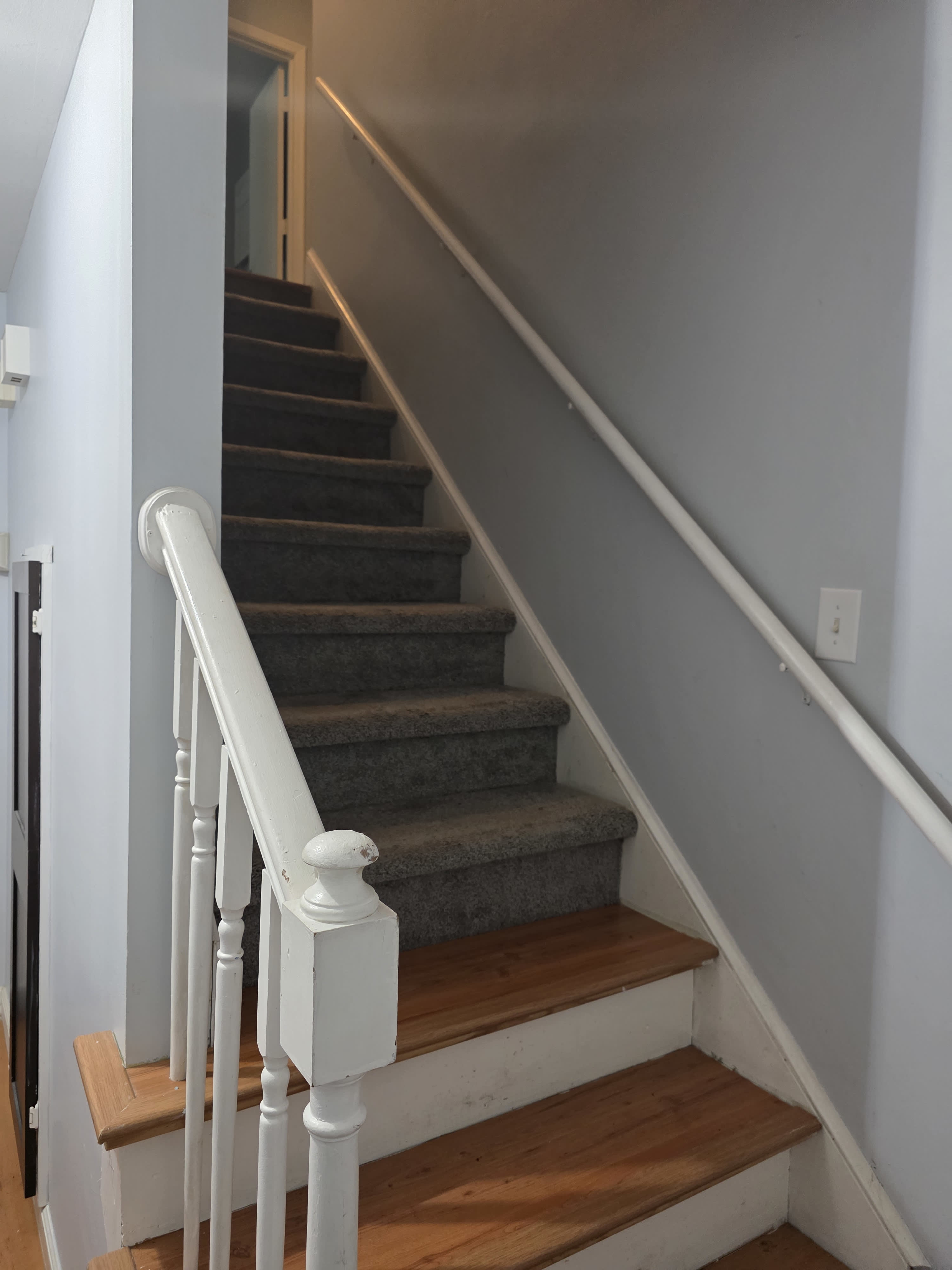 11526 Painted Tree Road – photo 5