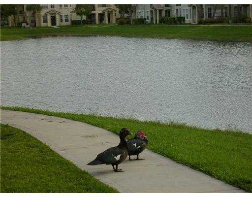 3/2 Lake available in North Lauderdale – photo 2