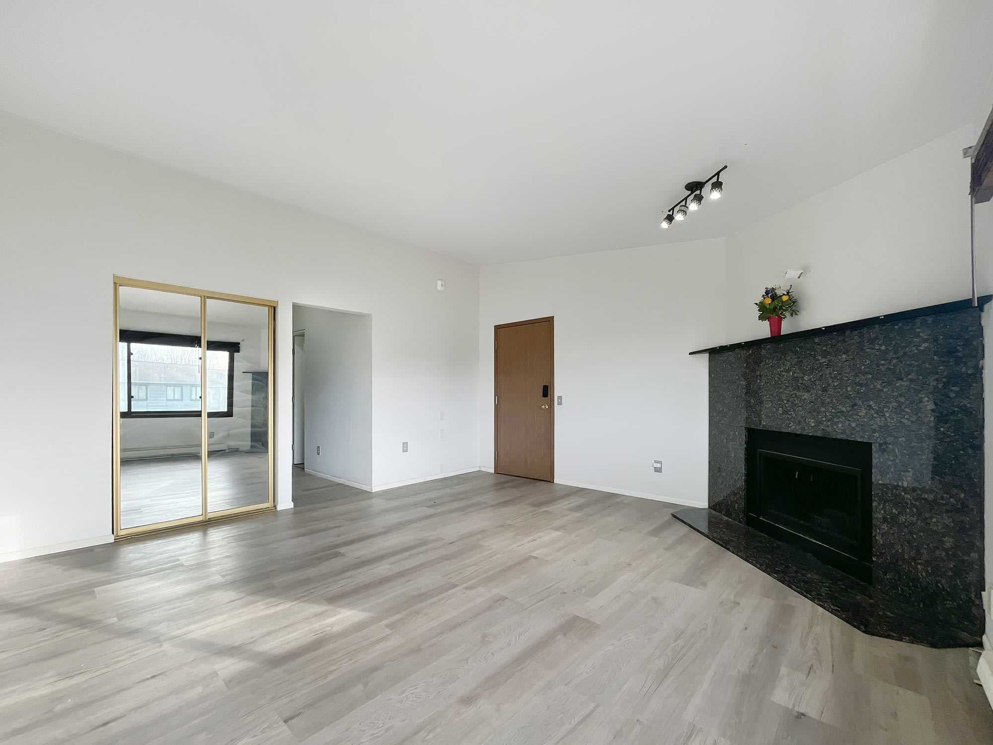 221 McCarrey Street – photo 5