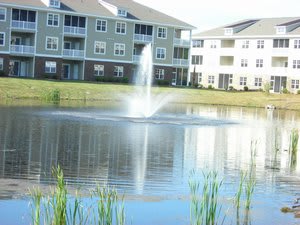 310 Kiskadee Loop Unit B – photo 3