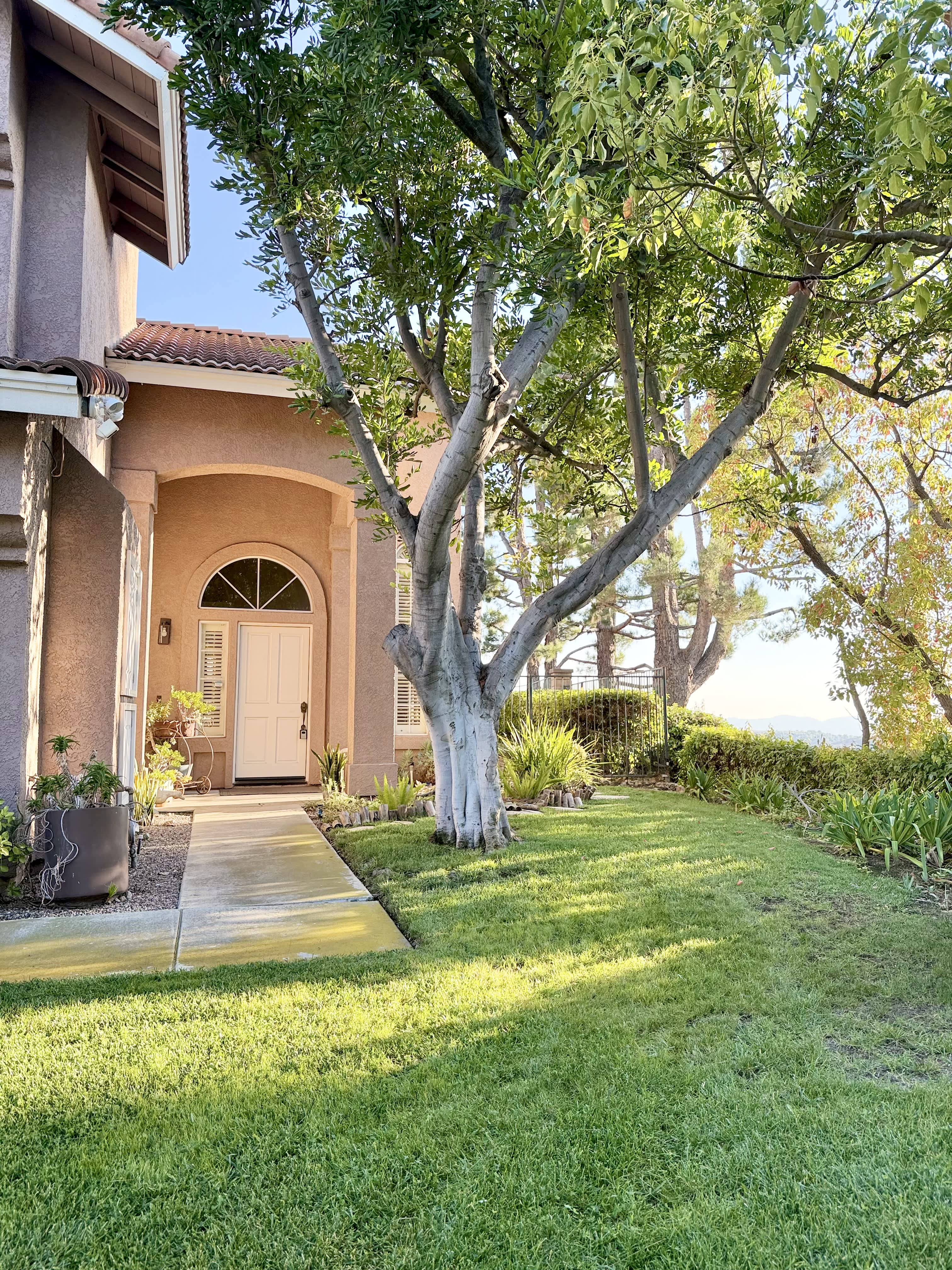 2356 Calle Petula – photo 2