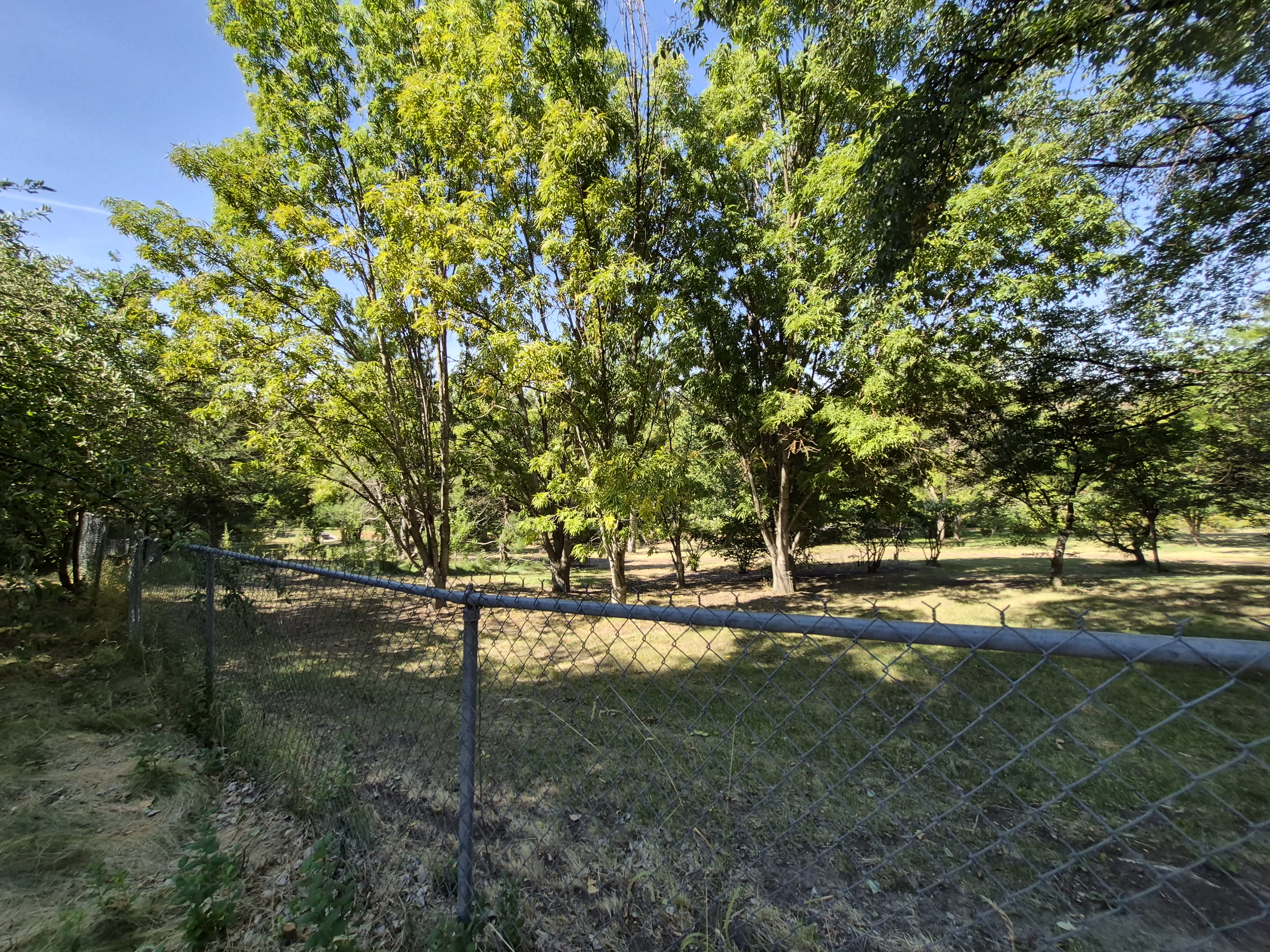 1431 Alpowa Ave – photo 3