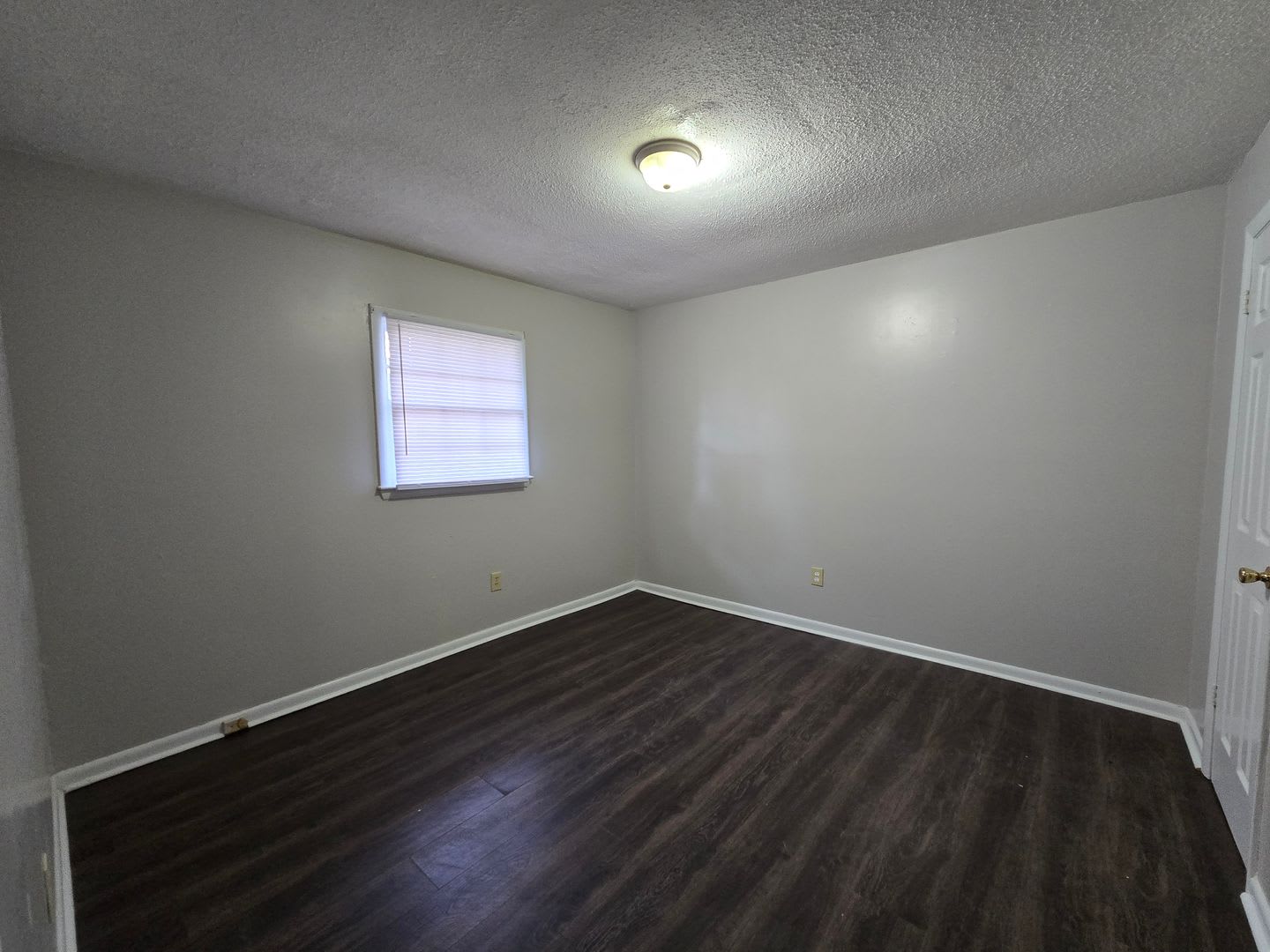 2305-B Emily ~ Broad Acres ~ 2 WEEKS FREE! – photo 3