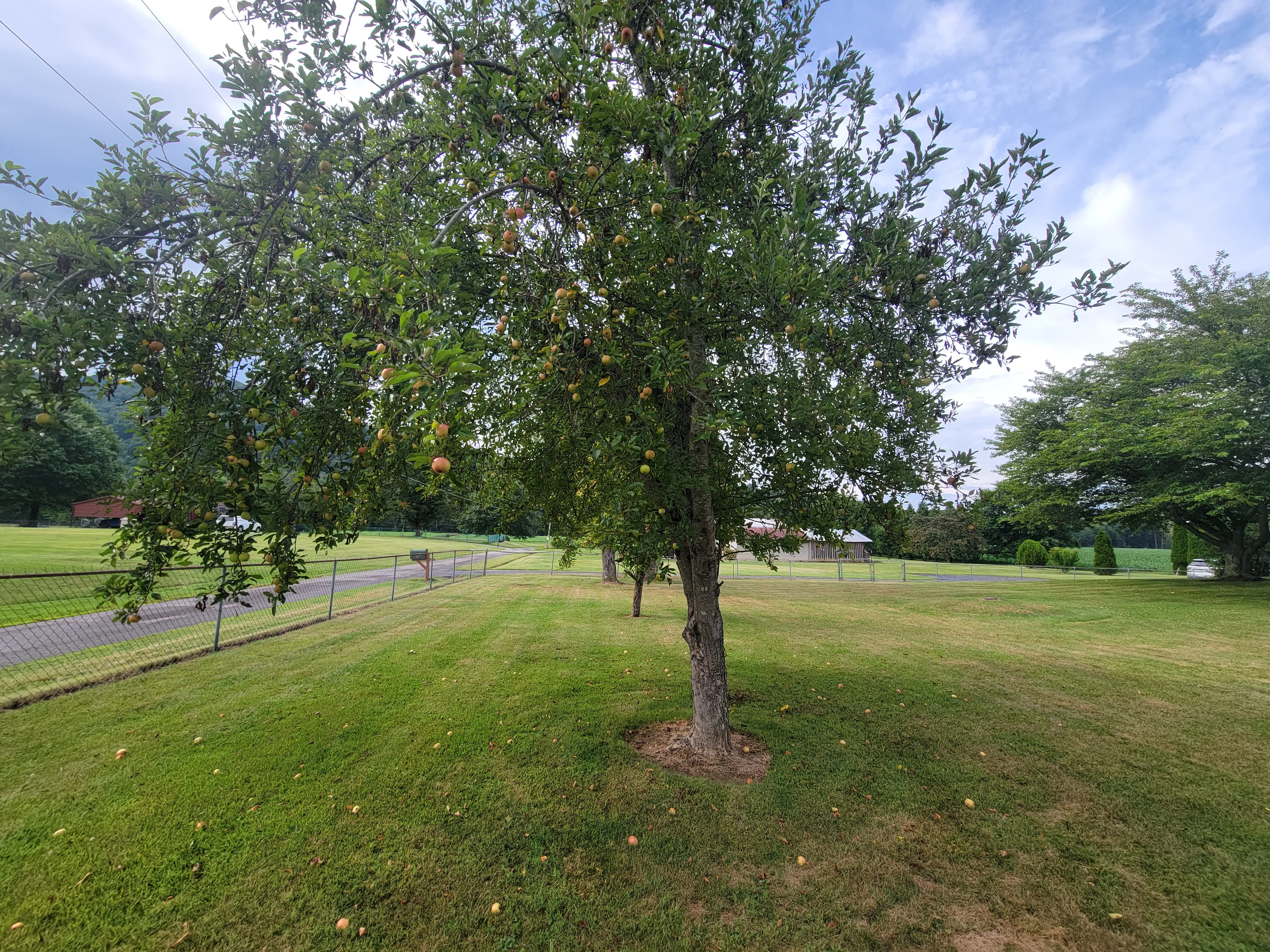 100 Shannondoah Dr – photo 5