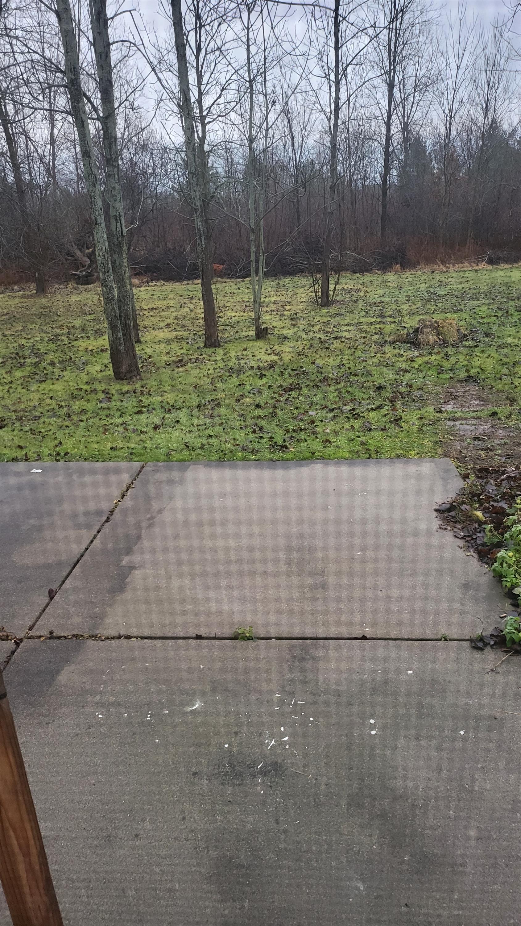 6481 Goodrich Road – photo 2