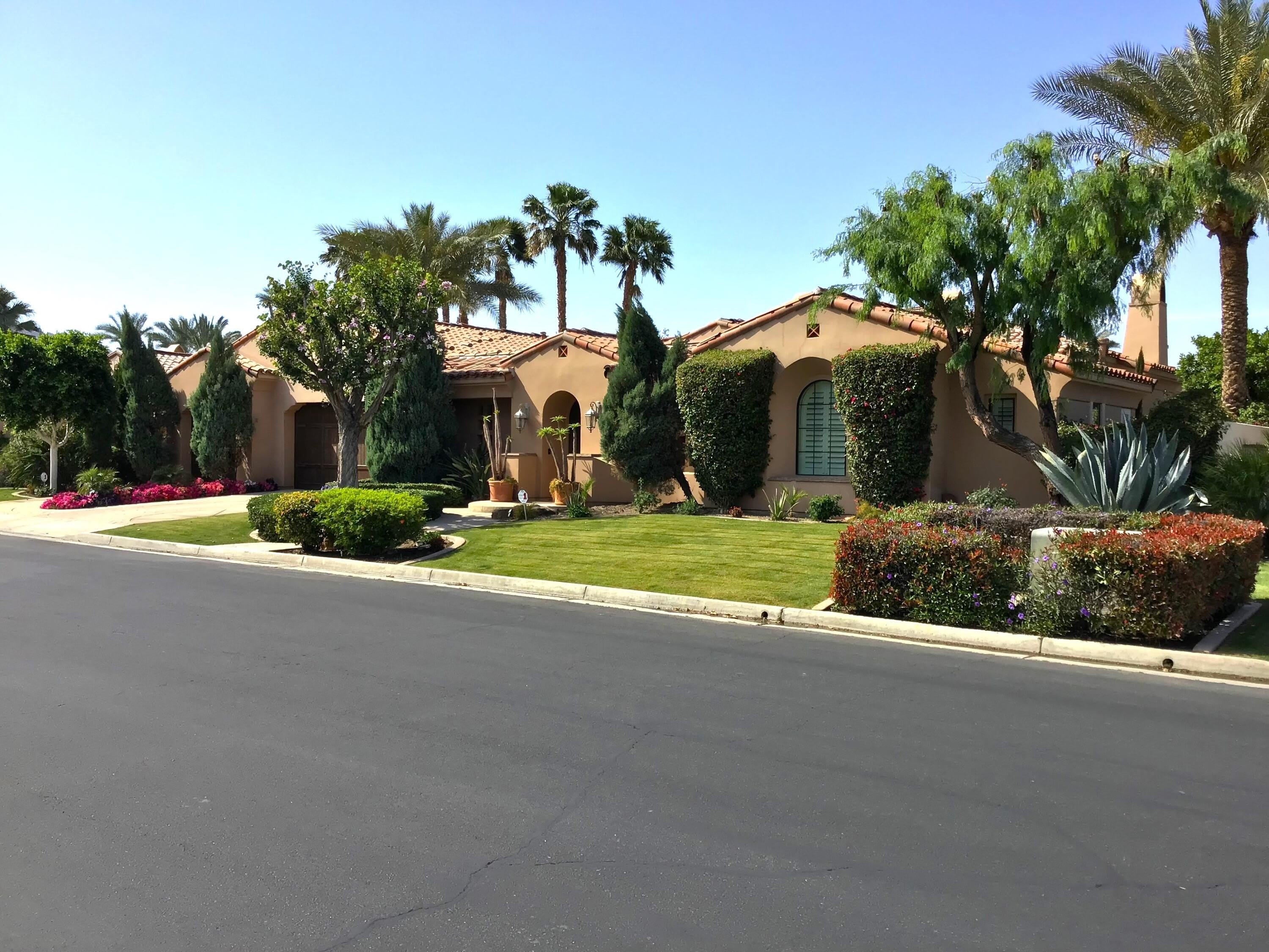78870 Citrus – photo 1