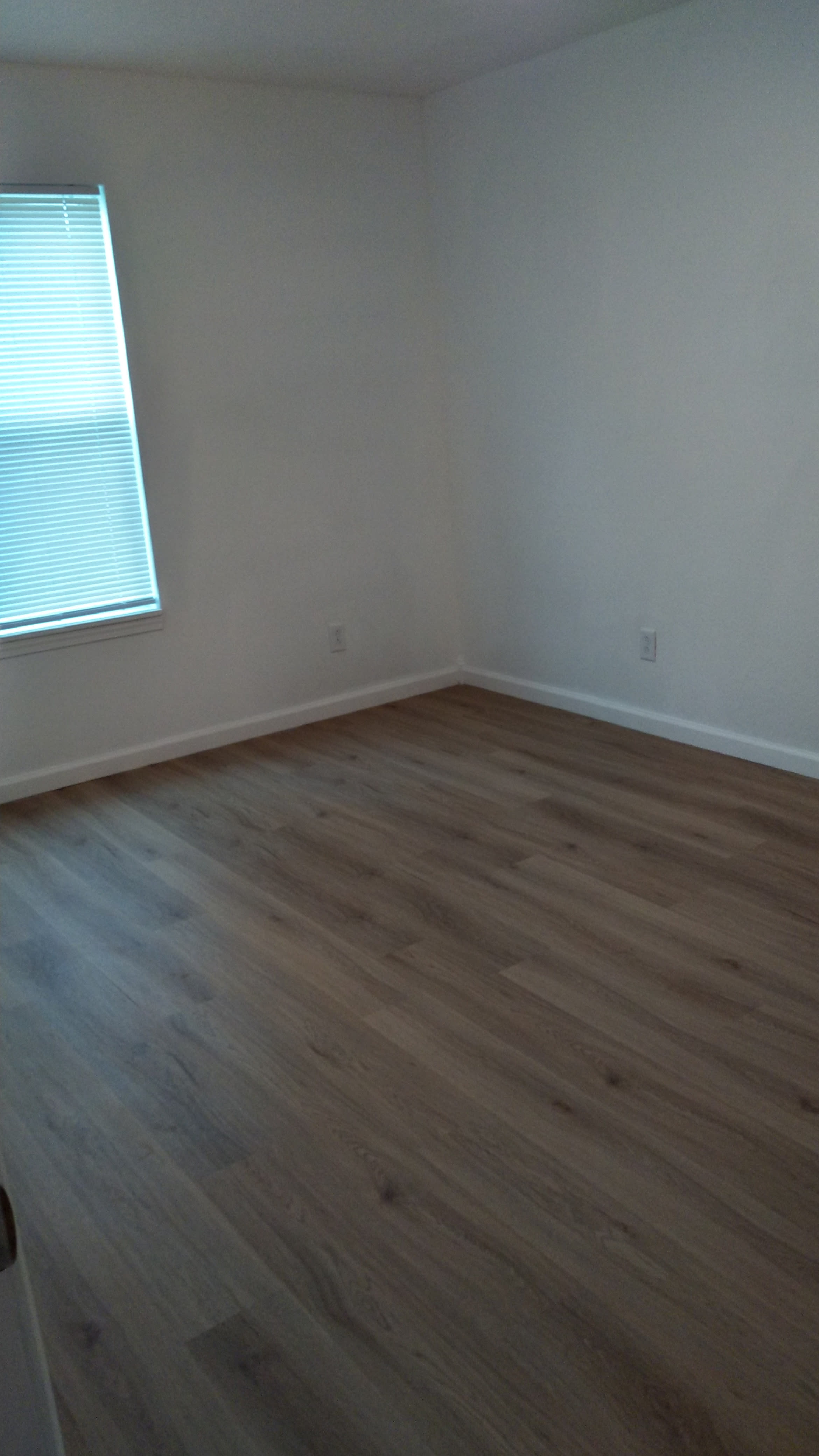 505 Apple St – photo 5