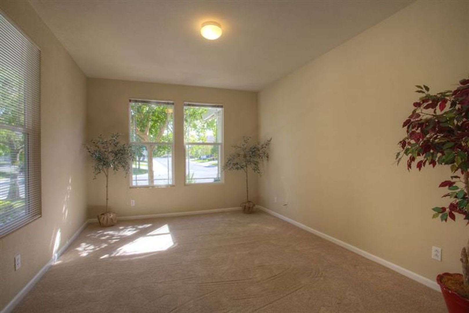Beautiful Home in Natomas Park – photo 4