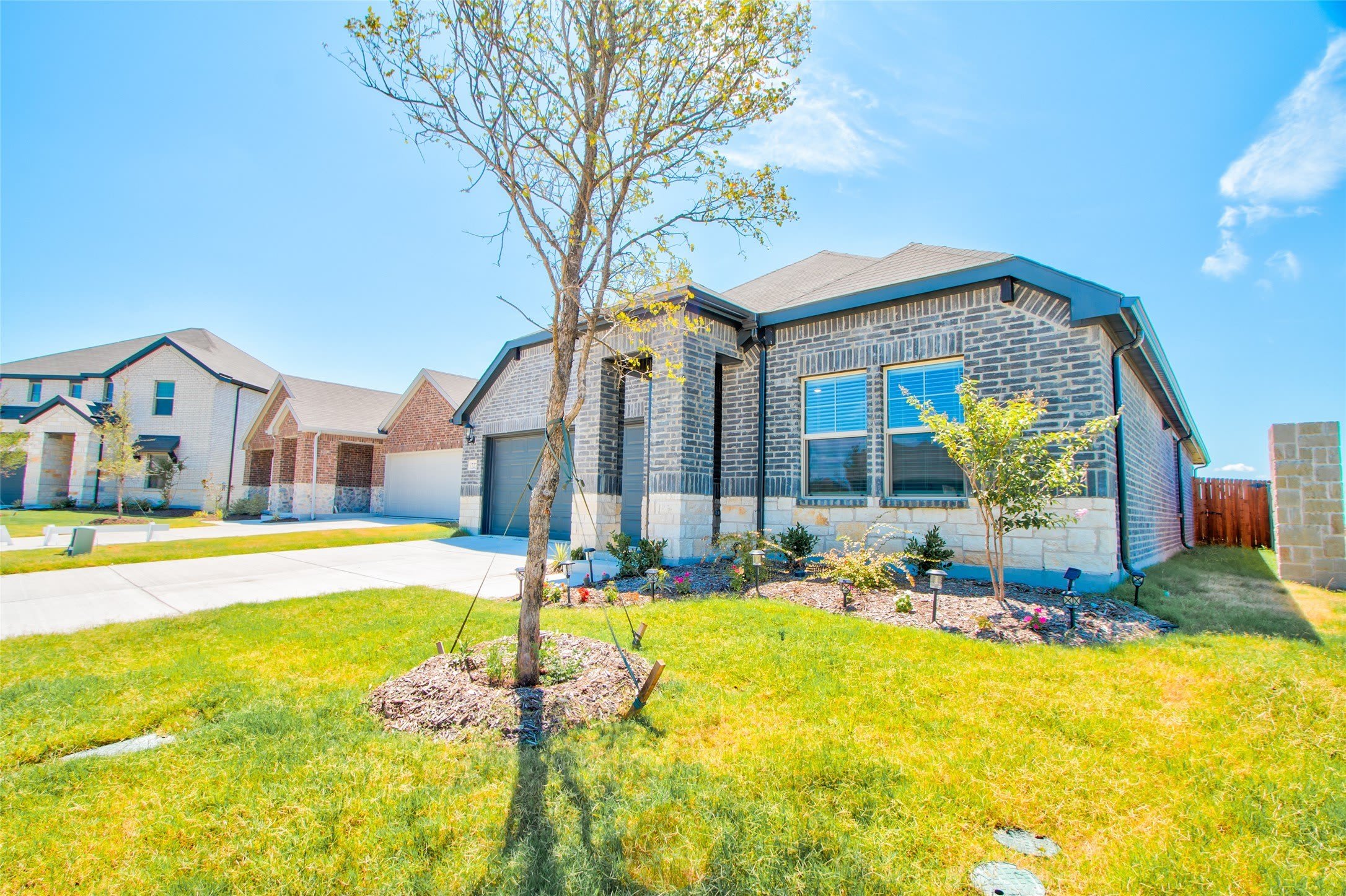 727 Williams Way – photo 4