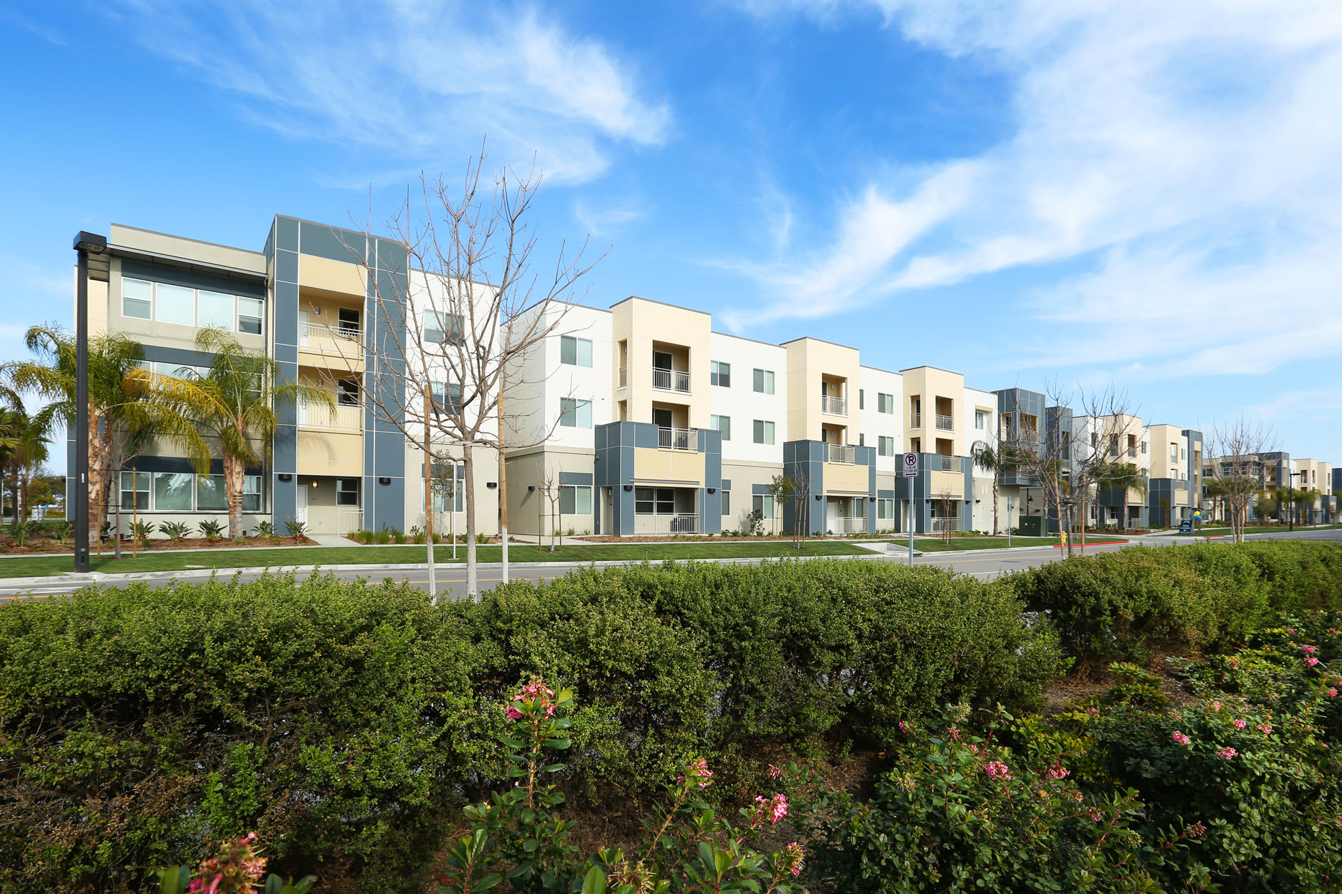 Mosaic Apartments – photo 3