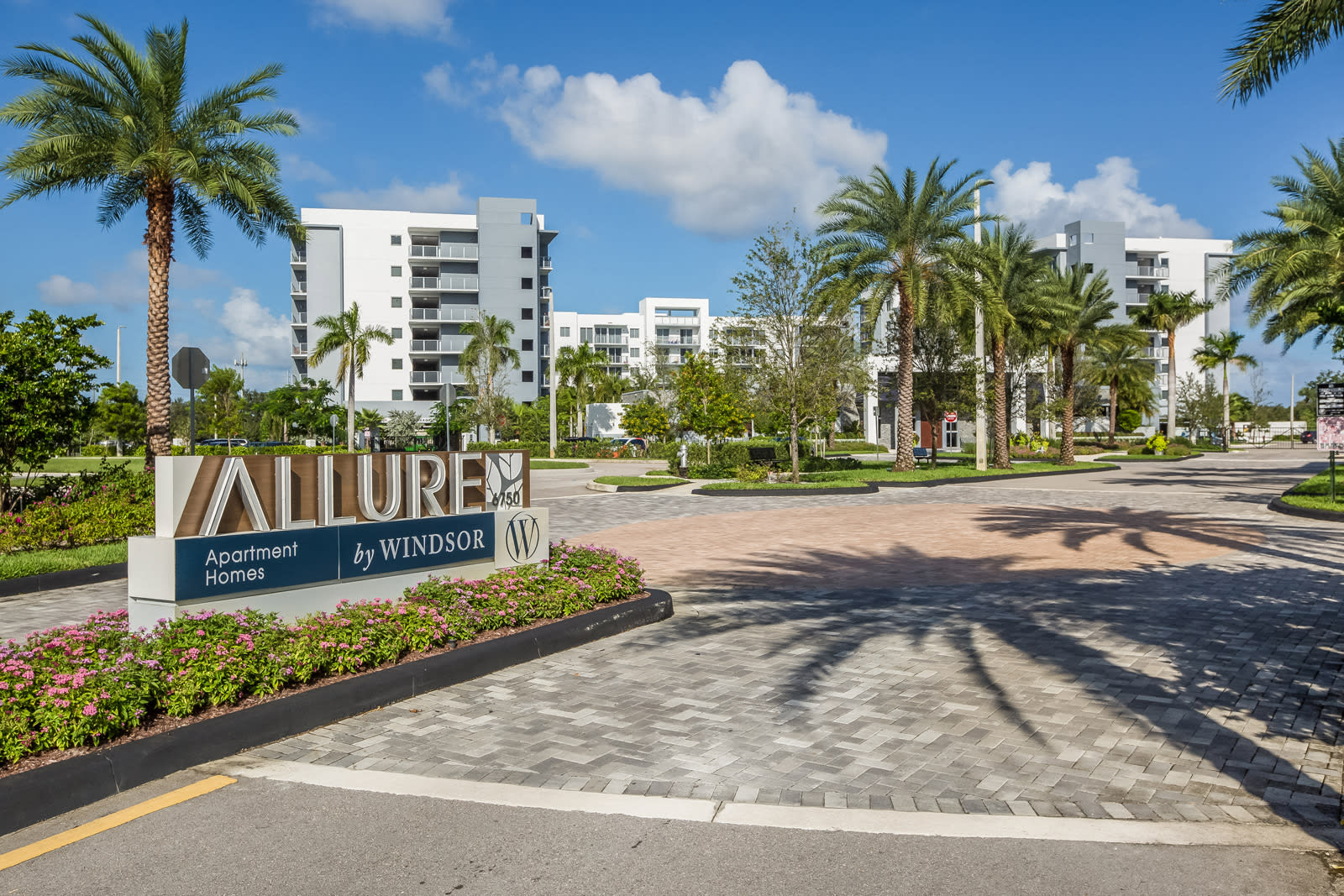 Allure By Windsor – photo 3