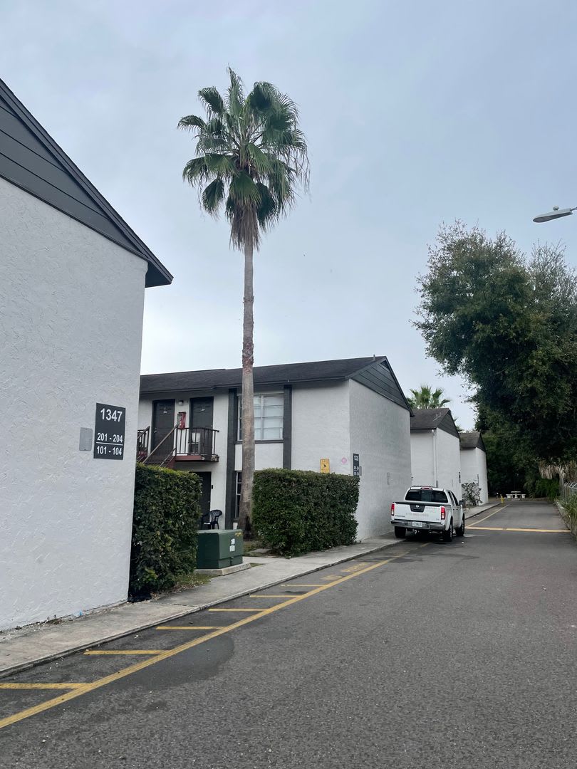 Baywatch Apartments Five Minutes Driving From Usf – photo 4