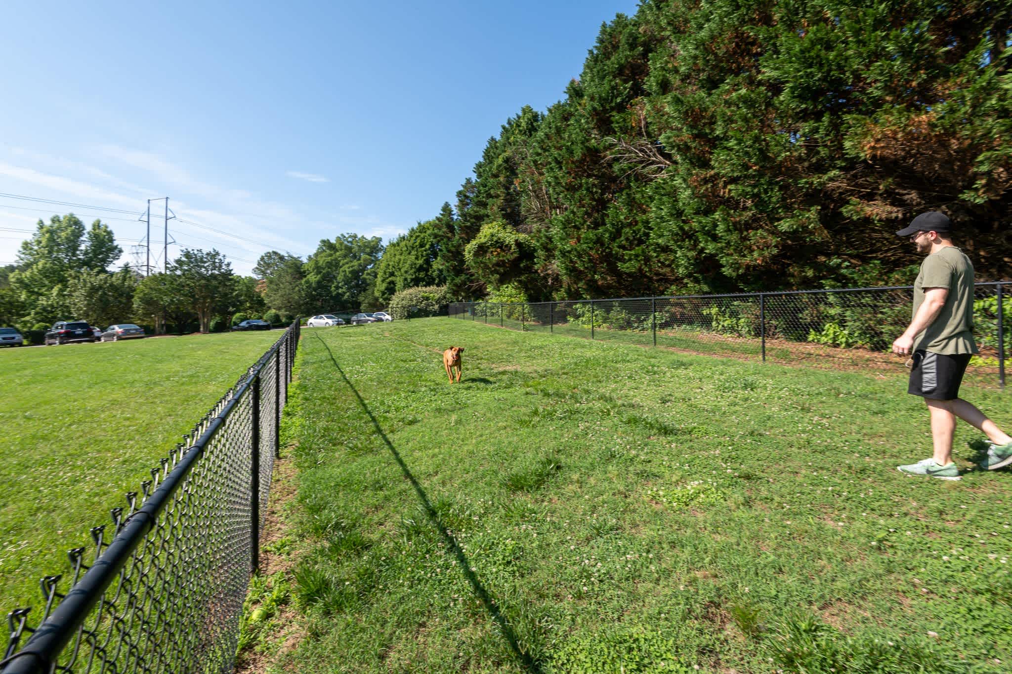 Brookefield – photo 4