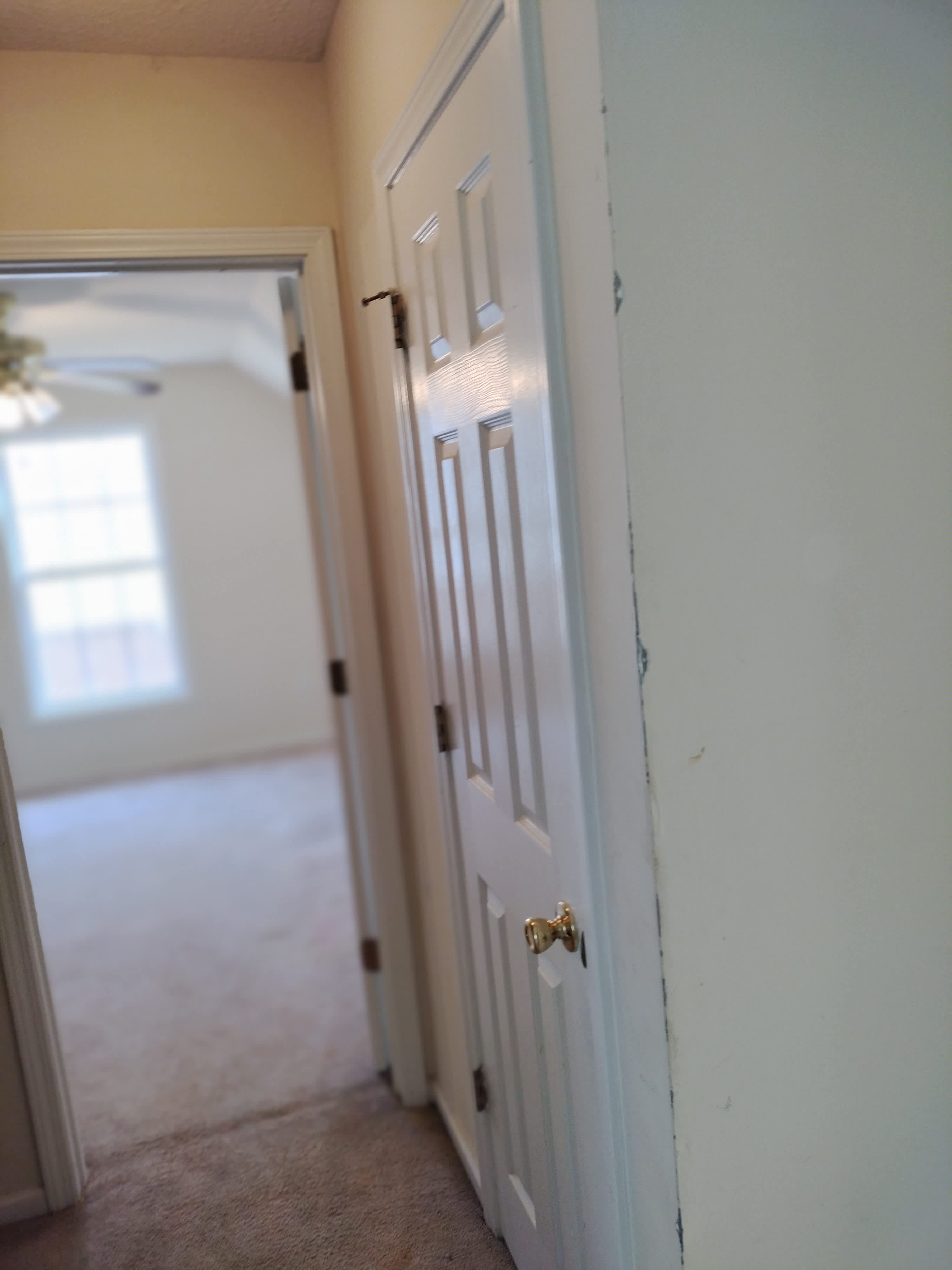 209 Springfield Circle – photo 4