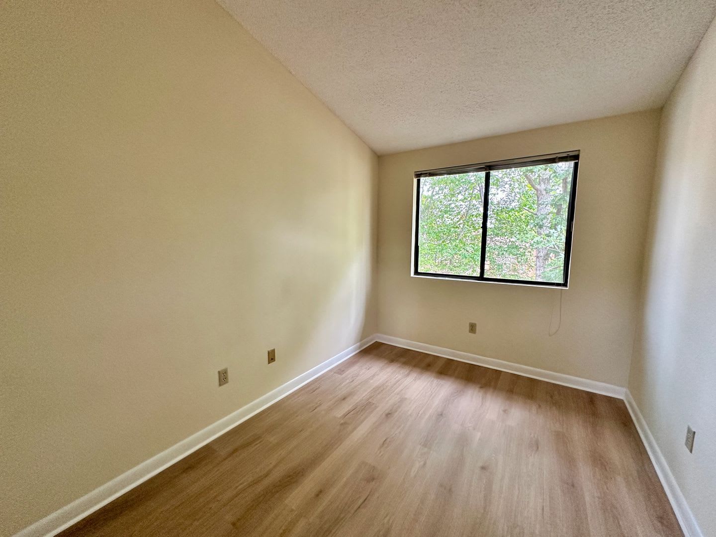 Fully Renovated Turtle Creek 2 Bed/2 Bath with Solarium – photo 4