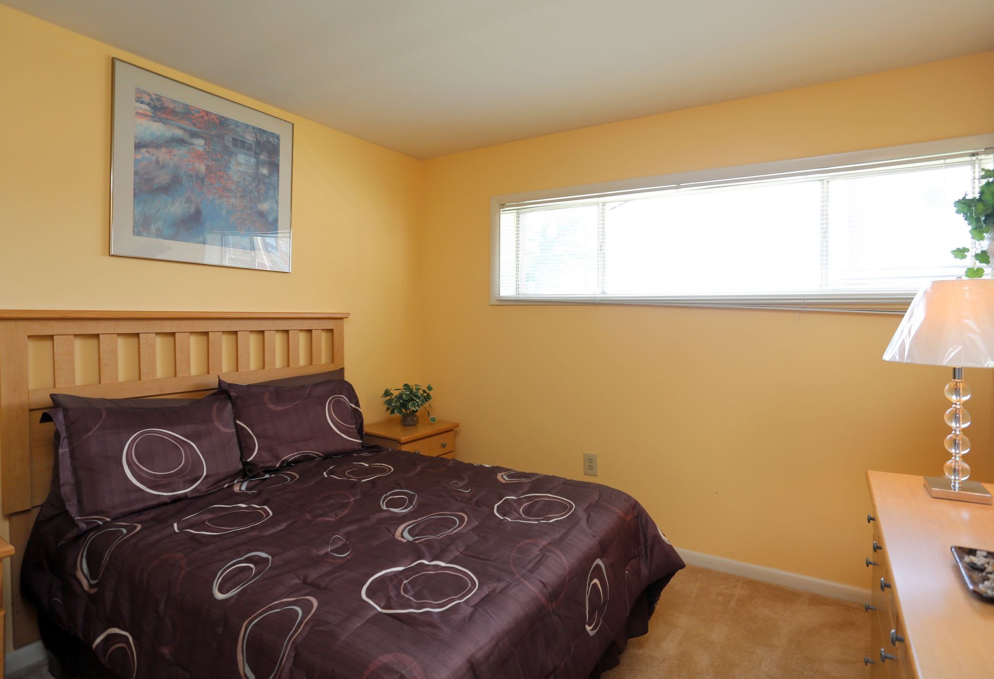 Belcrest Plaza – photo 1