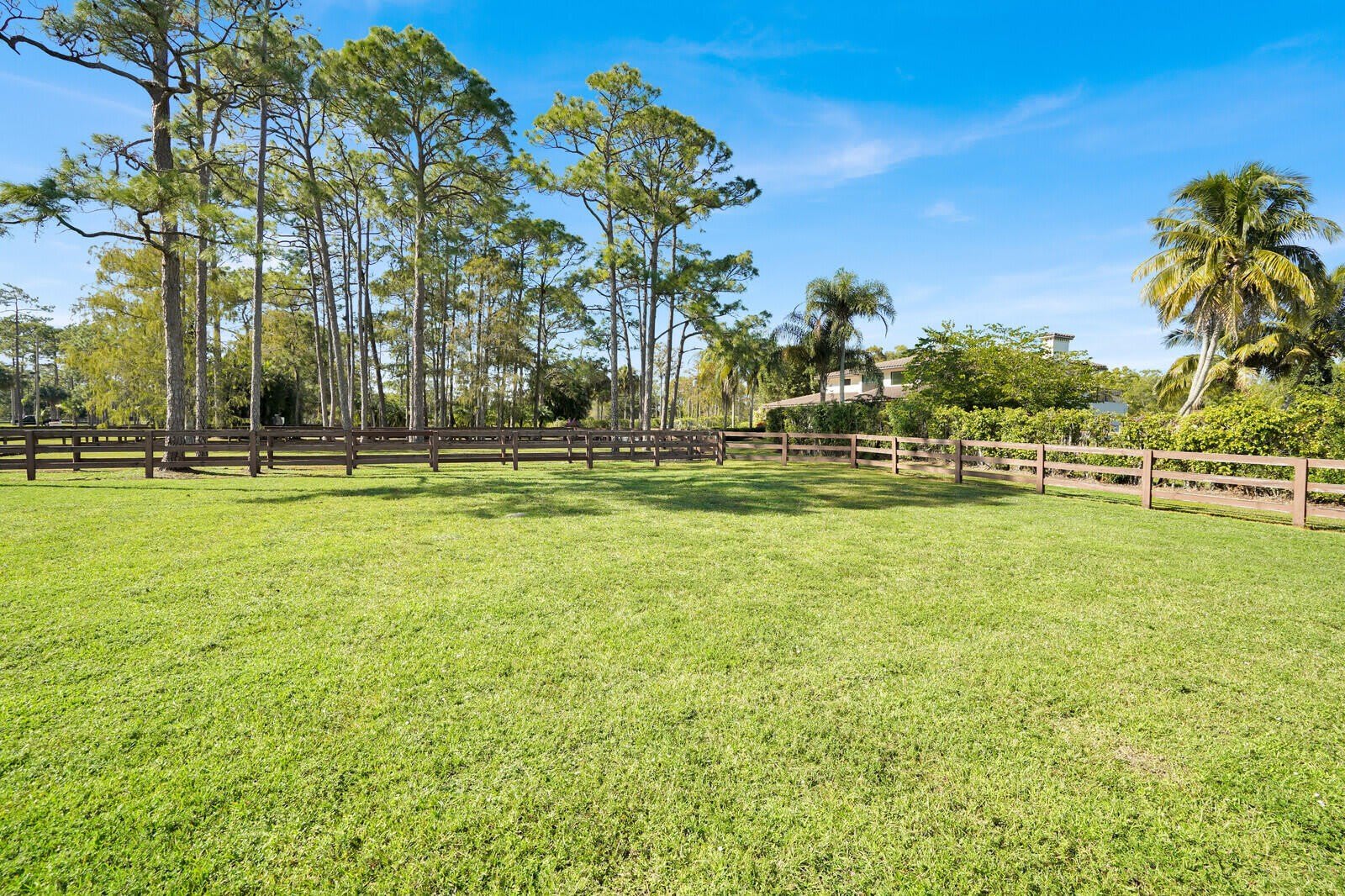 11231 IRA Lane – photo 5