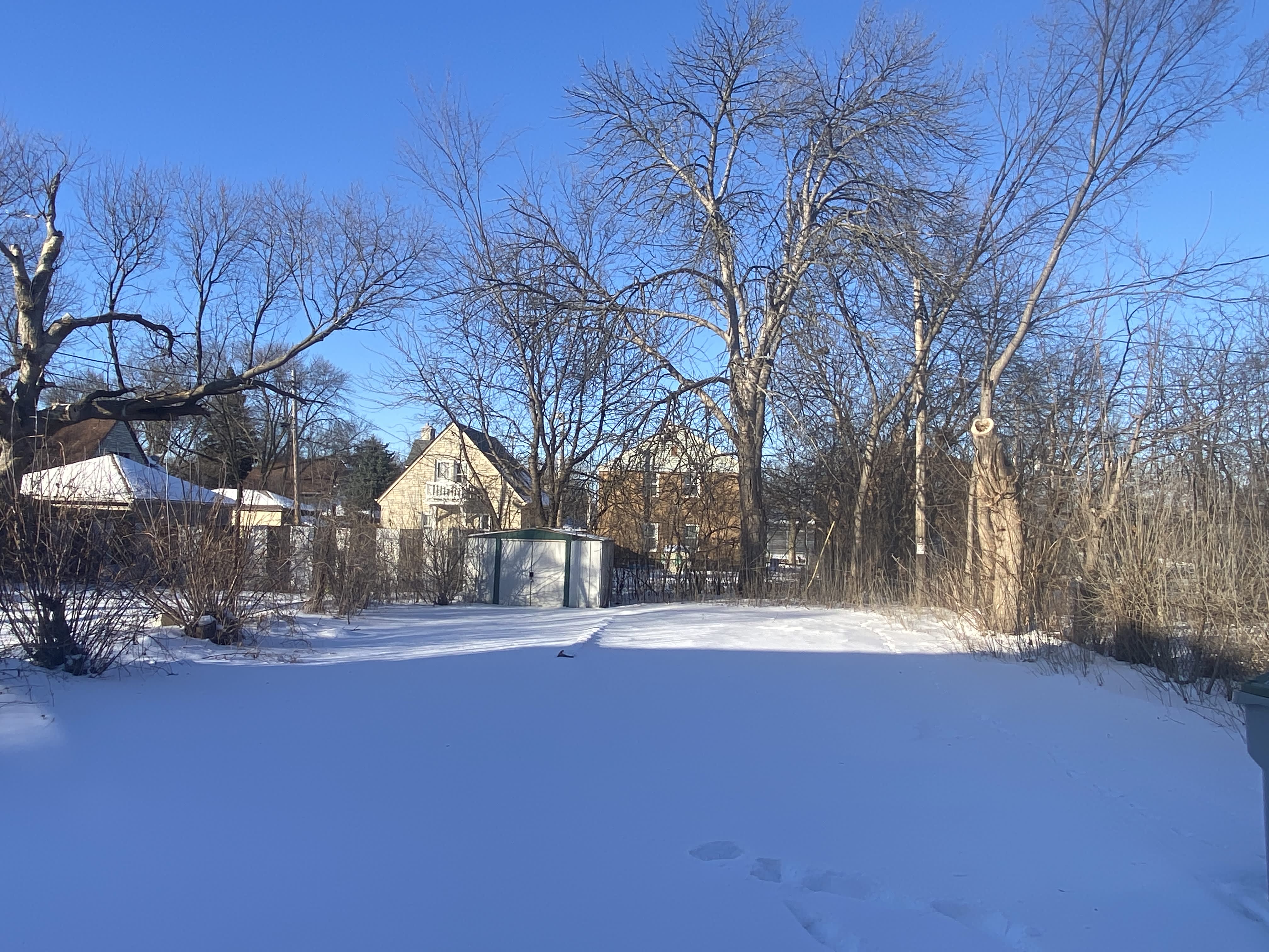 1210 West Hope Avenue – photo 4