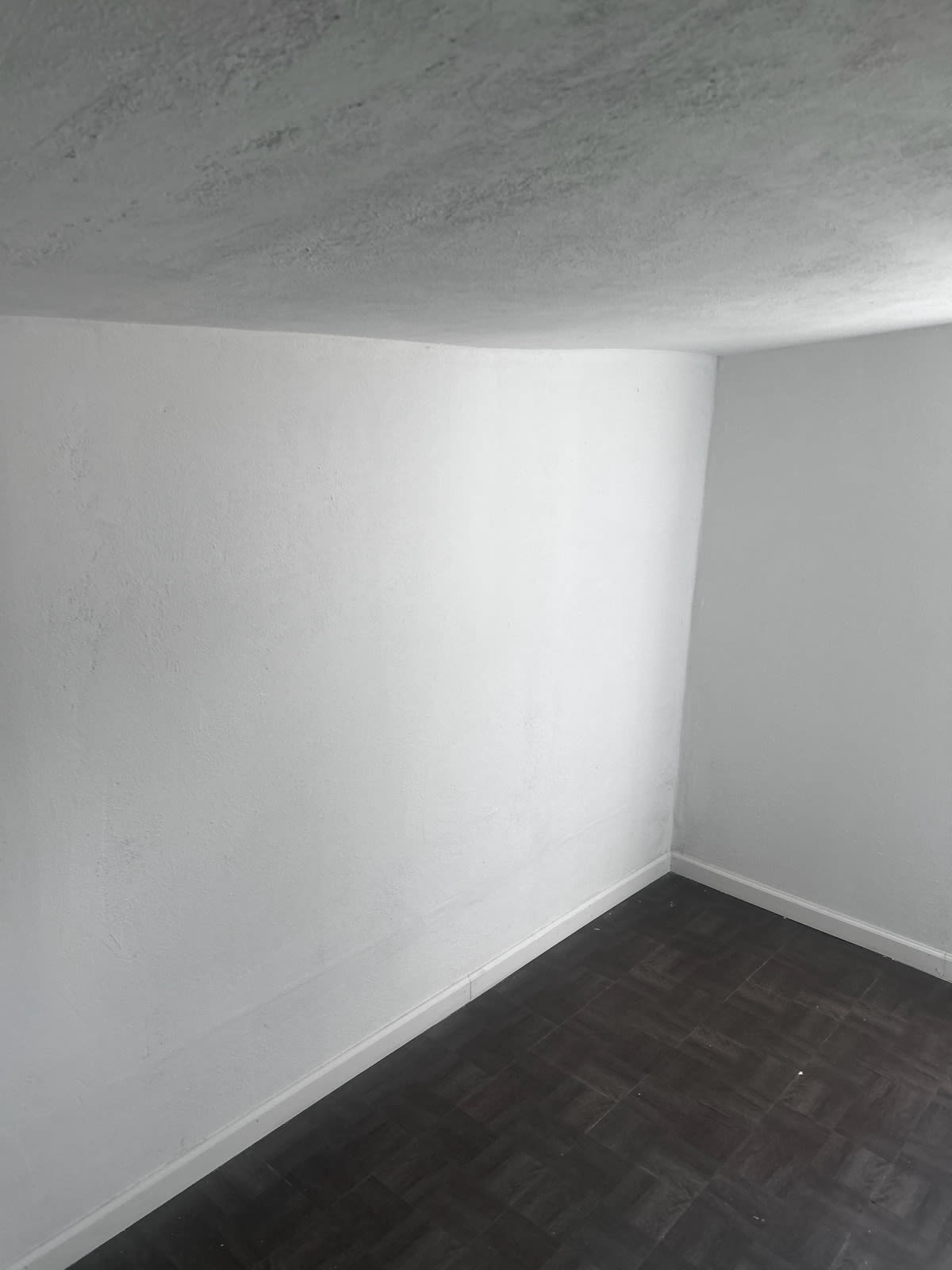 213 Clarence St – photo 4
