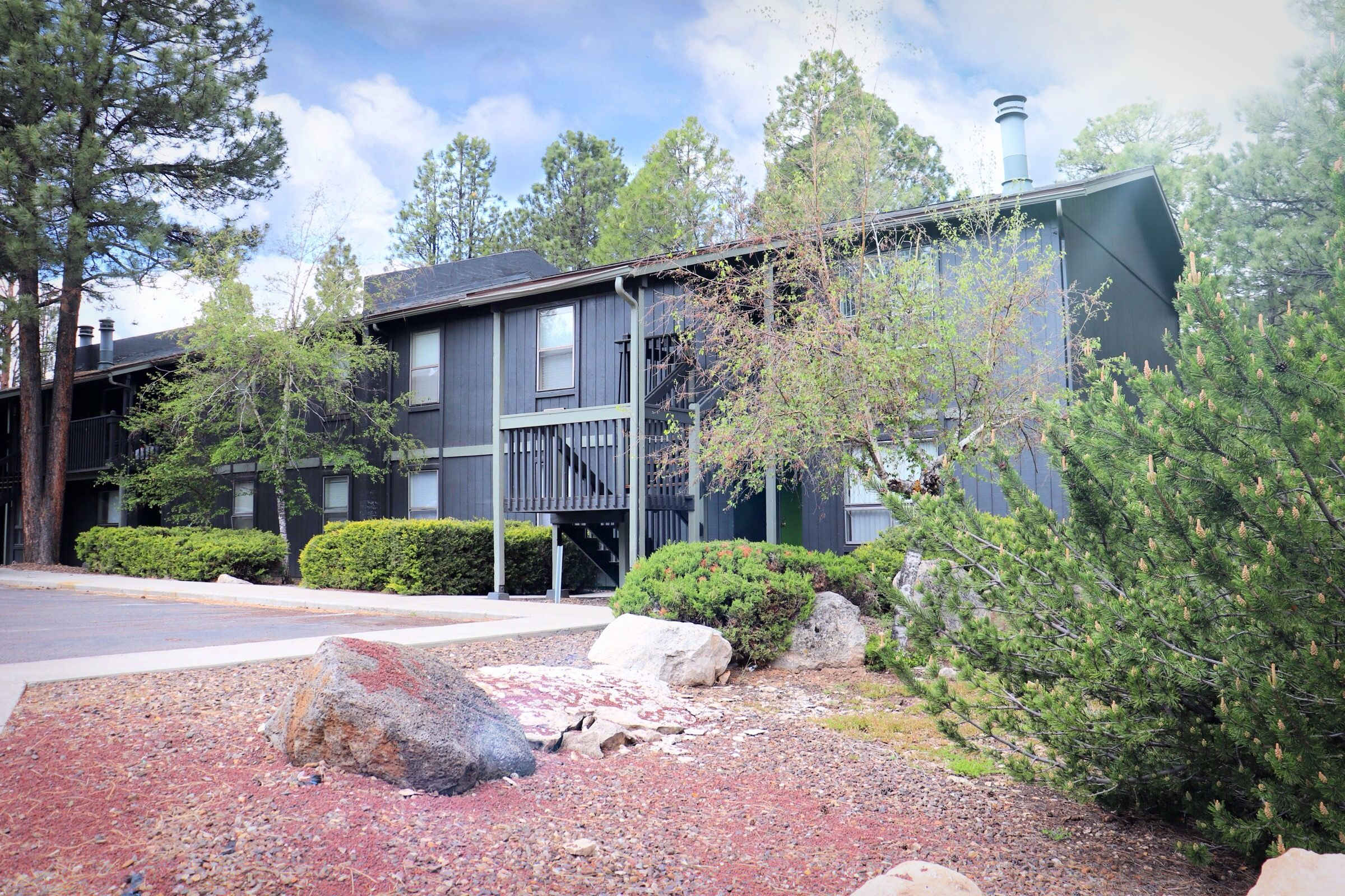 The Place At Forest Ridge Apartments – photo 4