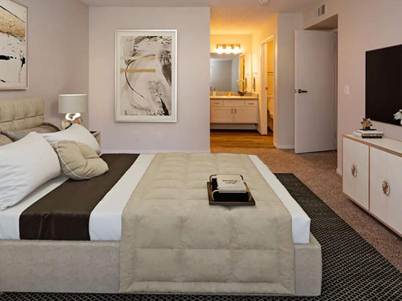 Juniper Apartments – photo 4
