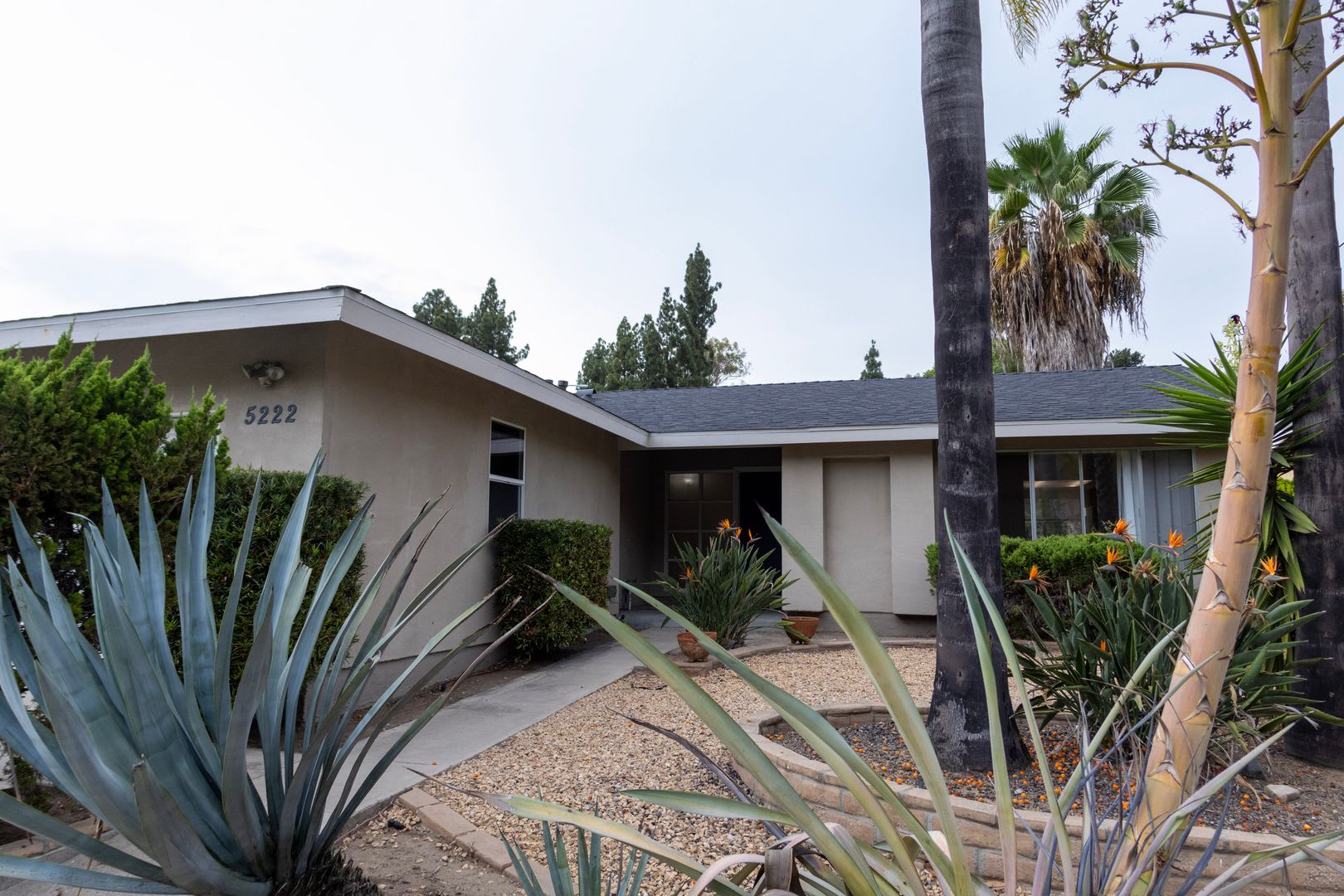 Rarely Available Private 5 Bed 3 Bath House w/ 2 Masters – photo 1