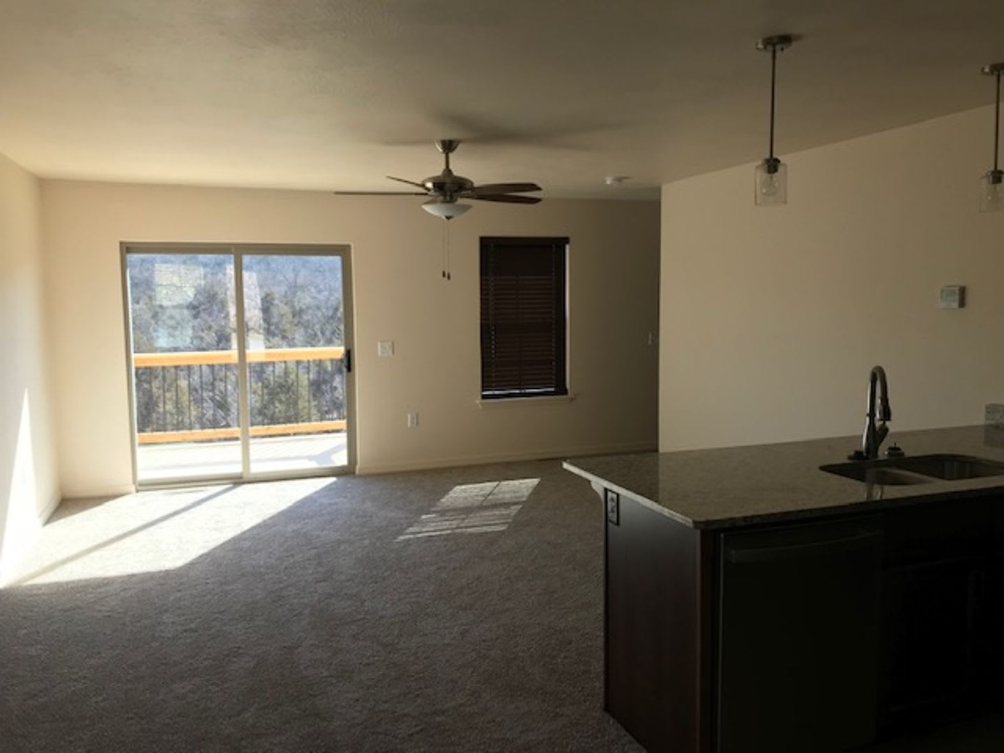 3 Bedroom 2 Bath 2 Car Garage For Rent in Branson MO – photo 4