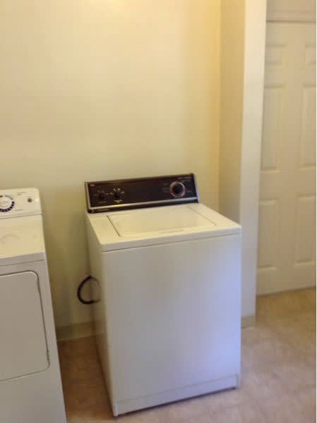Incredible Three Bedroom Plus Office With Large Backyard – photo 5