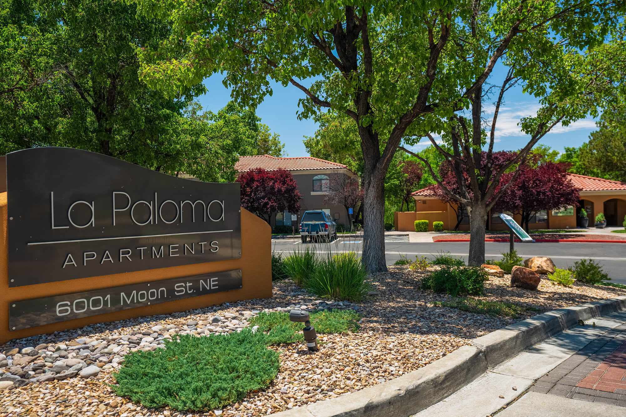 La Paloma – photo 4