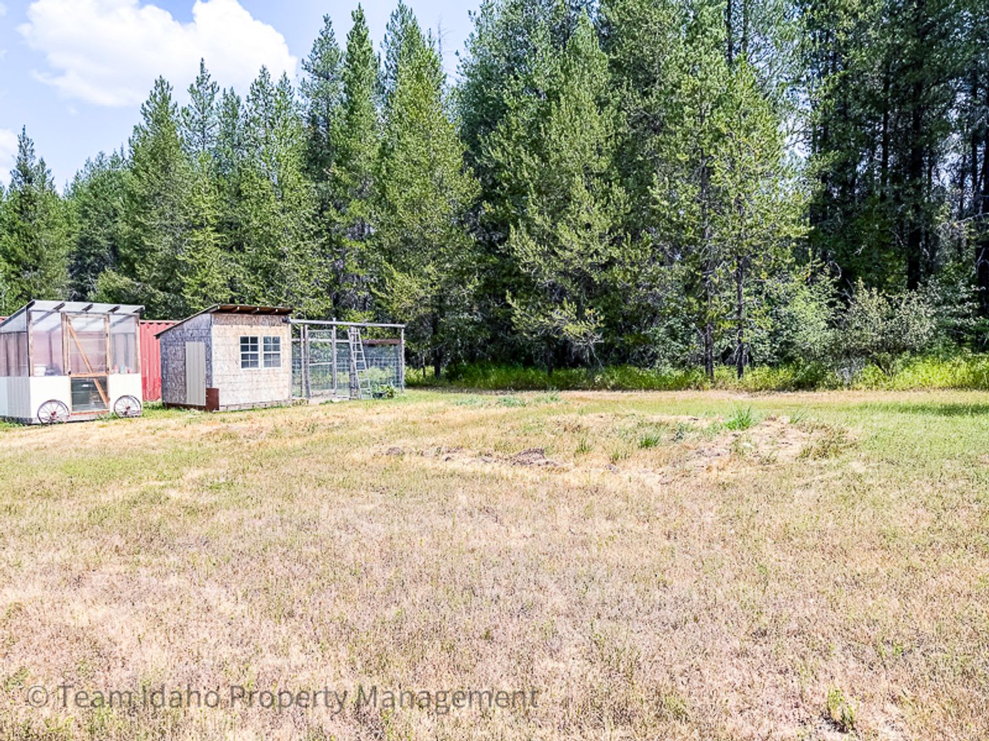 Country Living! 3 Bed/ 2 Bath single family home in Fernwood Idaho – photo 3