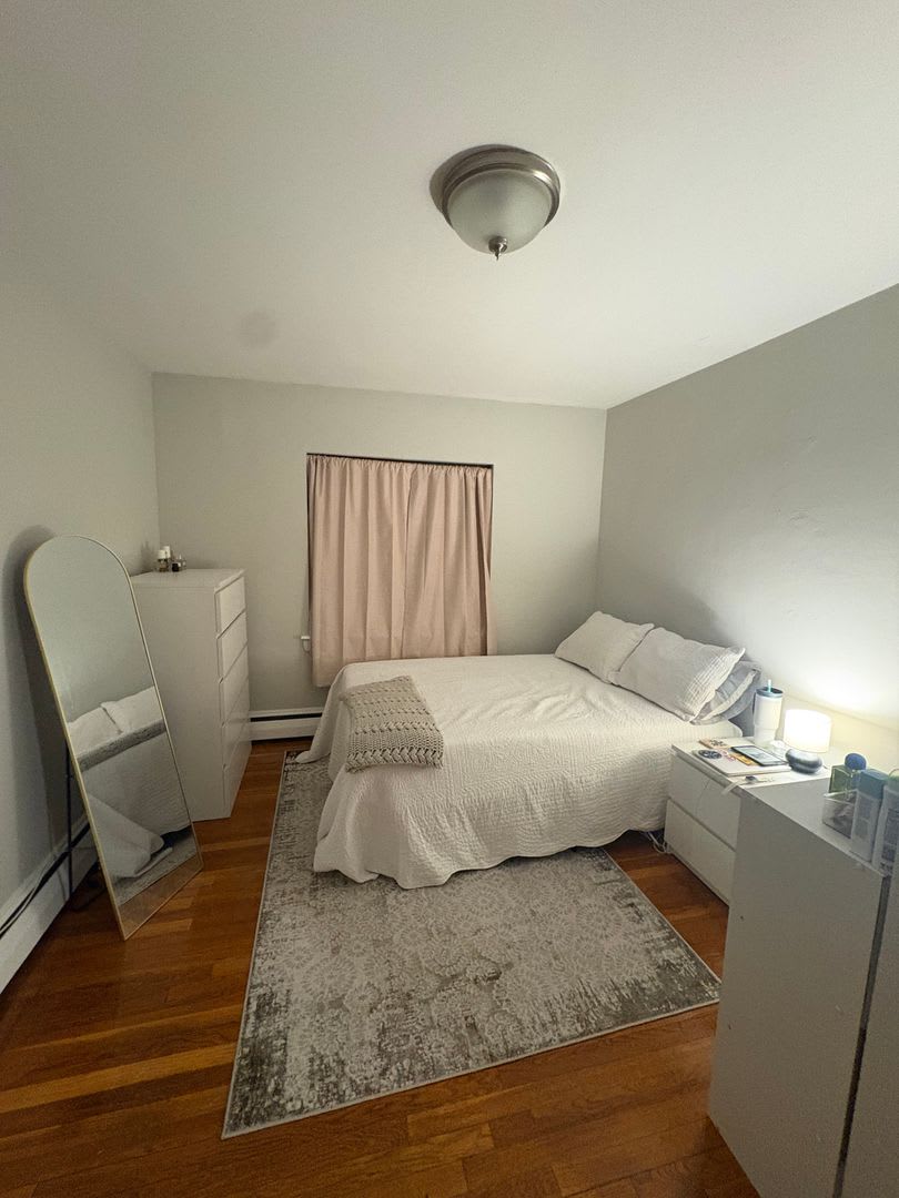 See YT Video! No Fee! Huge & Sunny Apt near Ts & Cleveland Cirlce. Cat Friendly – photo 3