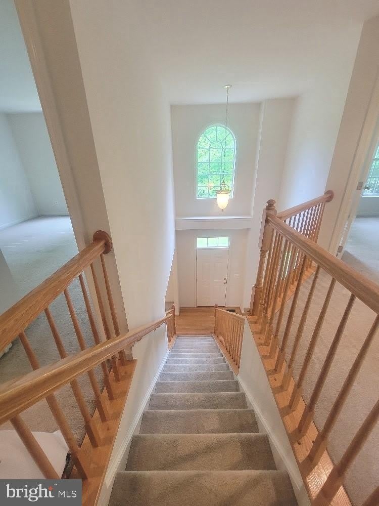 440 REEDY CREEK Road – photo 2