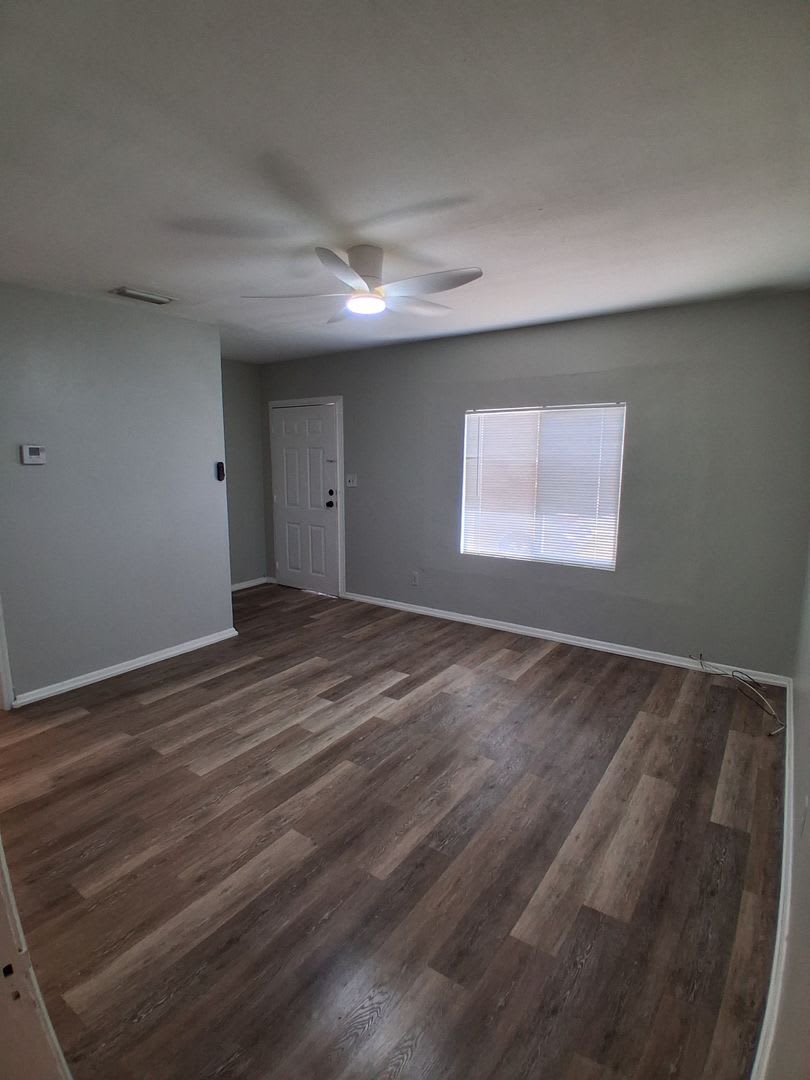 Newly Renovated 3Bed 2Bath Home In Plant High District – photo 5