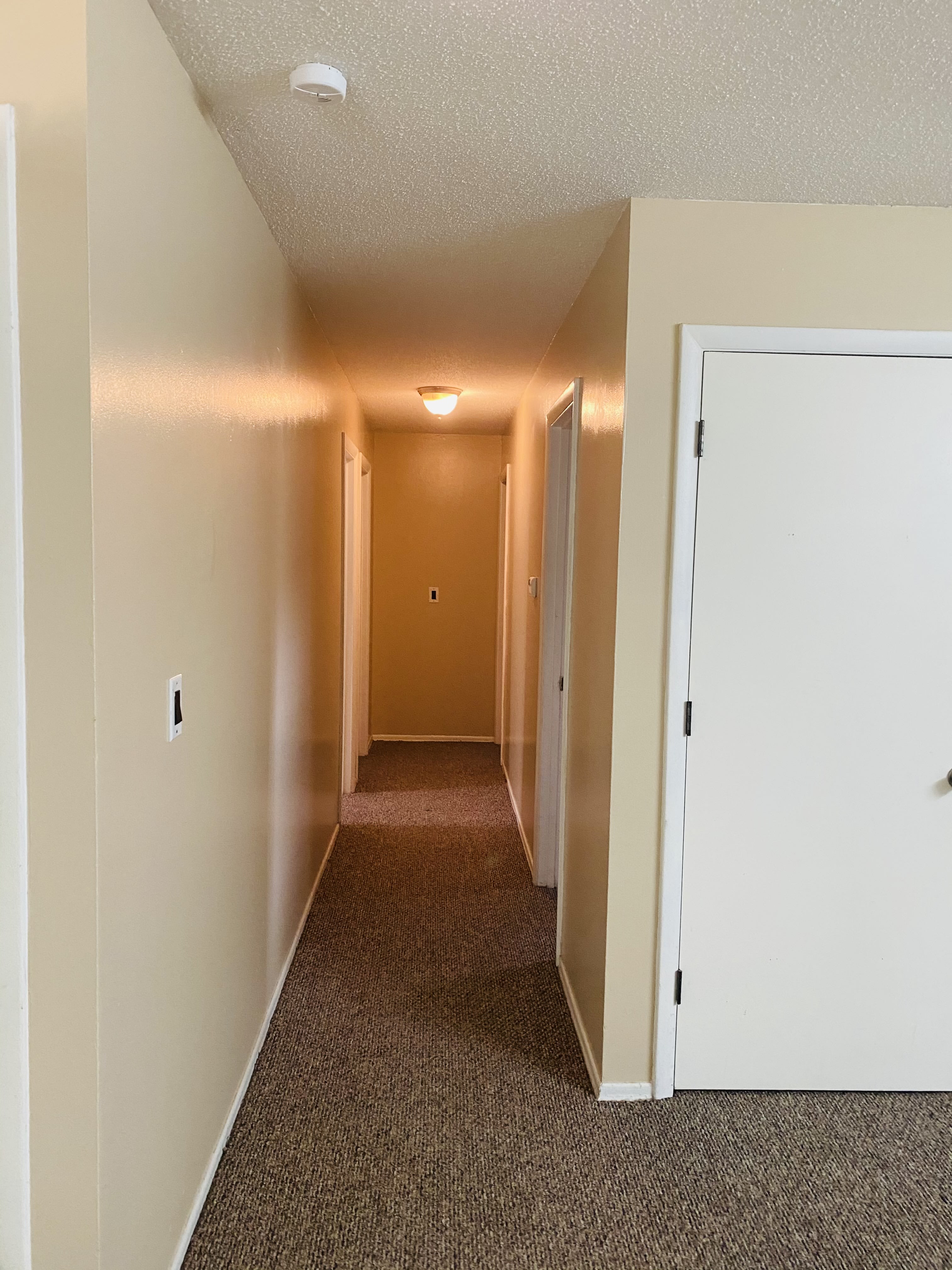2431 Melrose Ave – photo 5