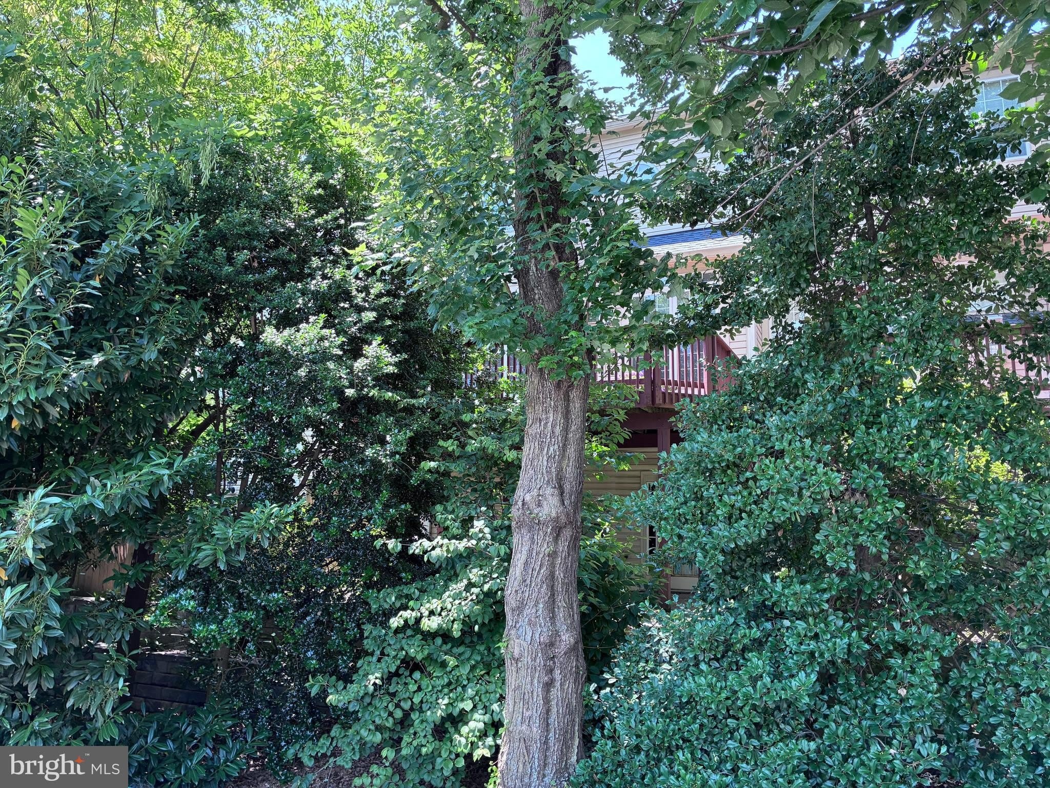 214 HALPINE WALK Court – photo 4