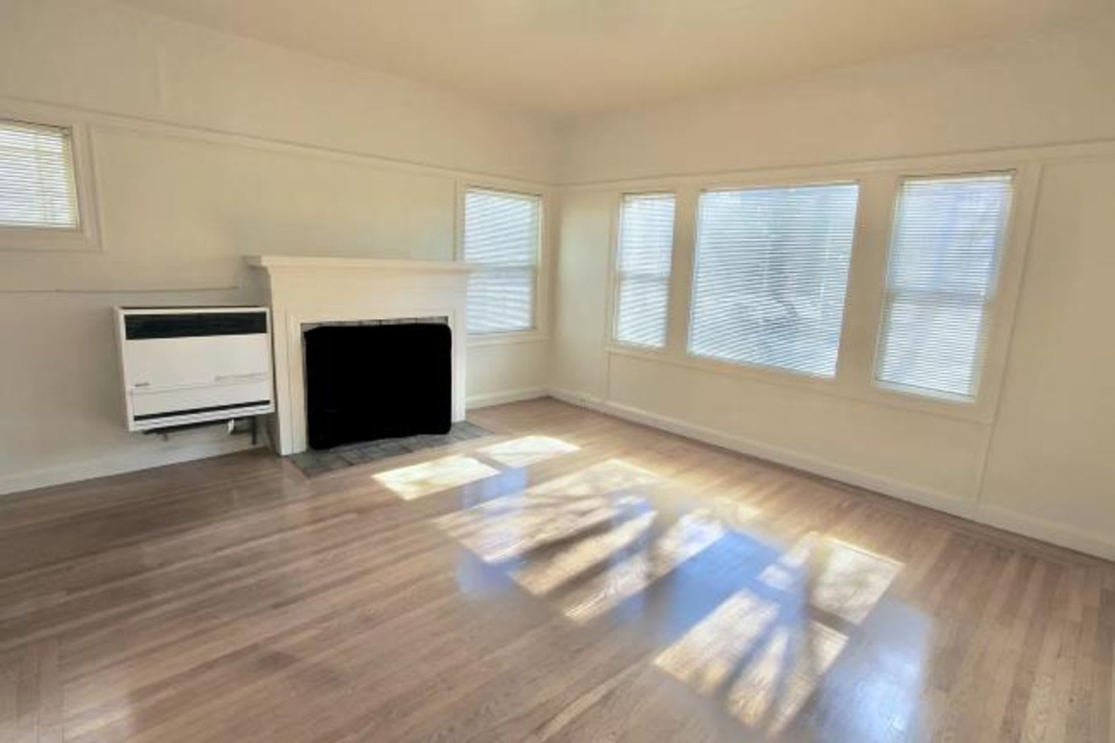 VERY LARGE 1 BEDROOM APARTMENT (HAS BEEN USED AS A 2 BEDROOM) – photo 3